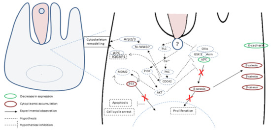 Microorganisms 08 01665 g004 550