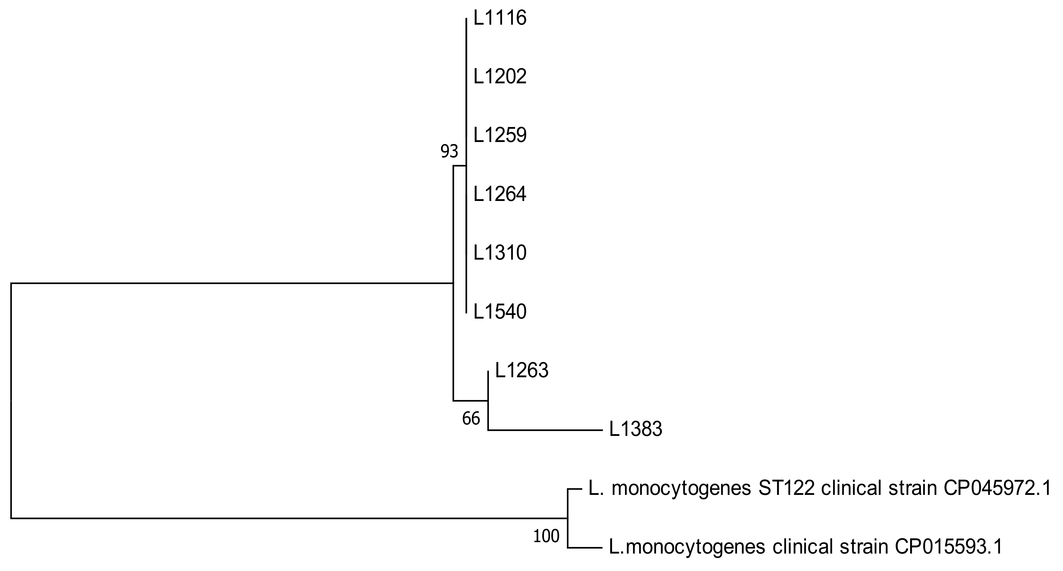 Microorganisms 08 01669 g001
