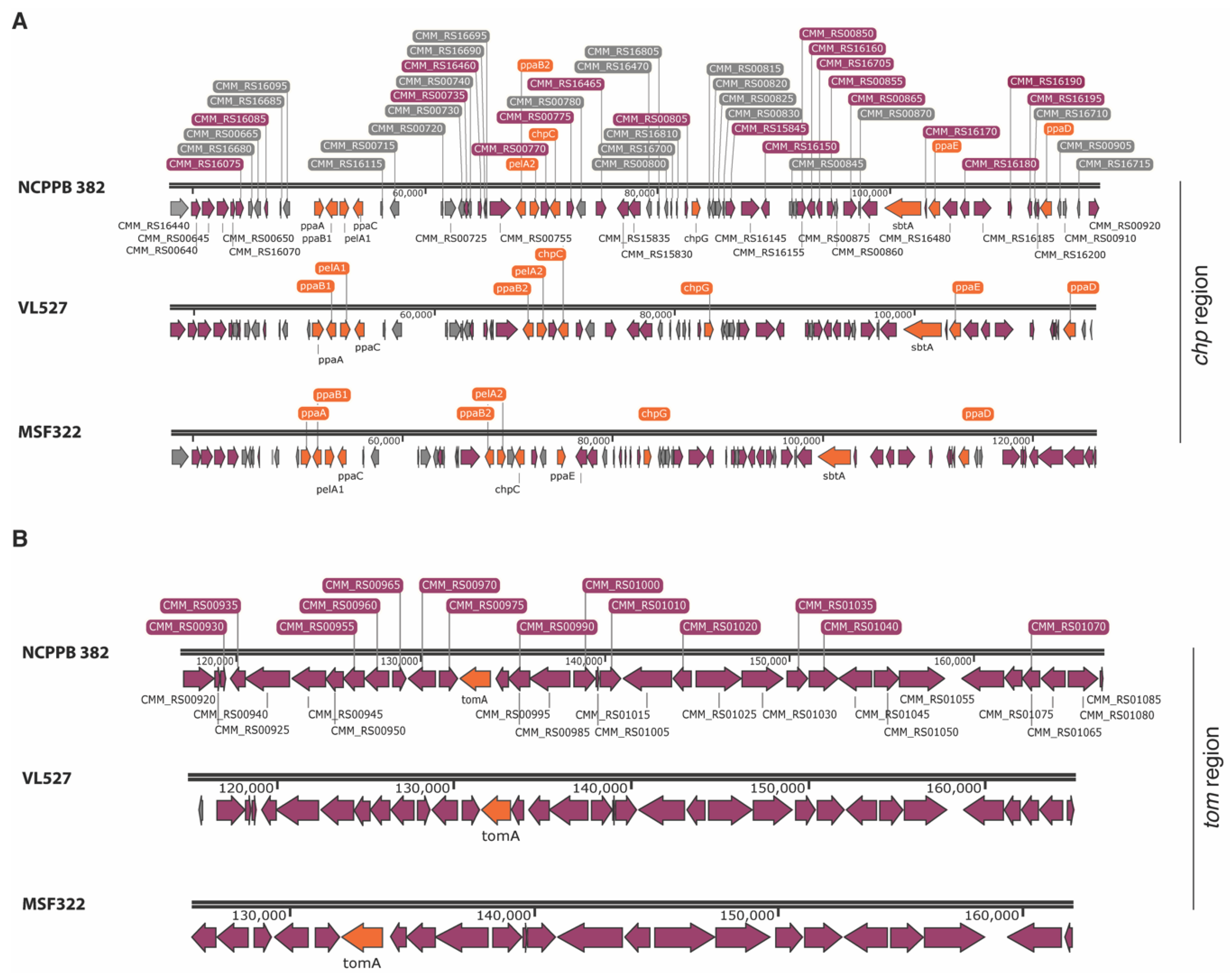 Microorganisms 08 01679 g003