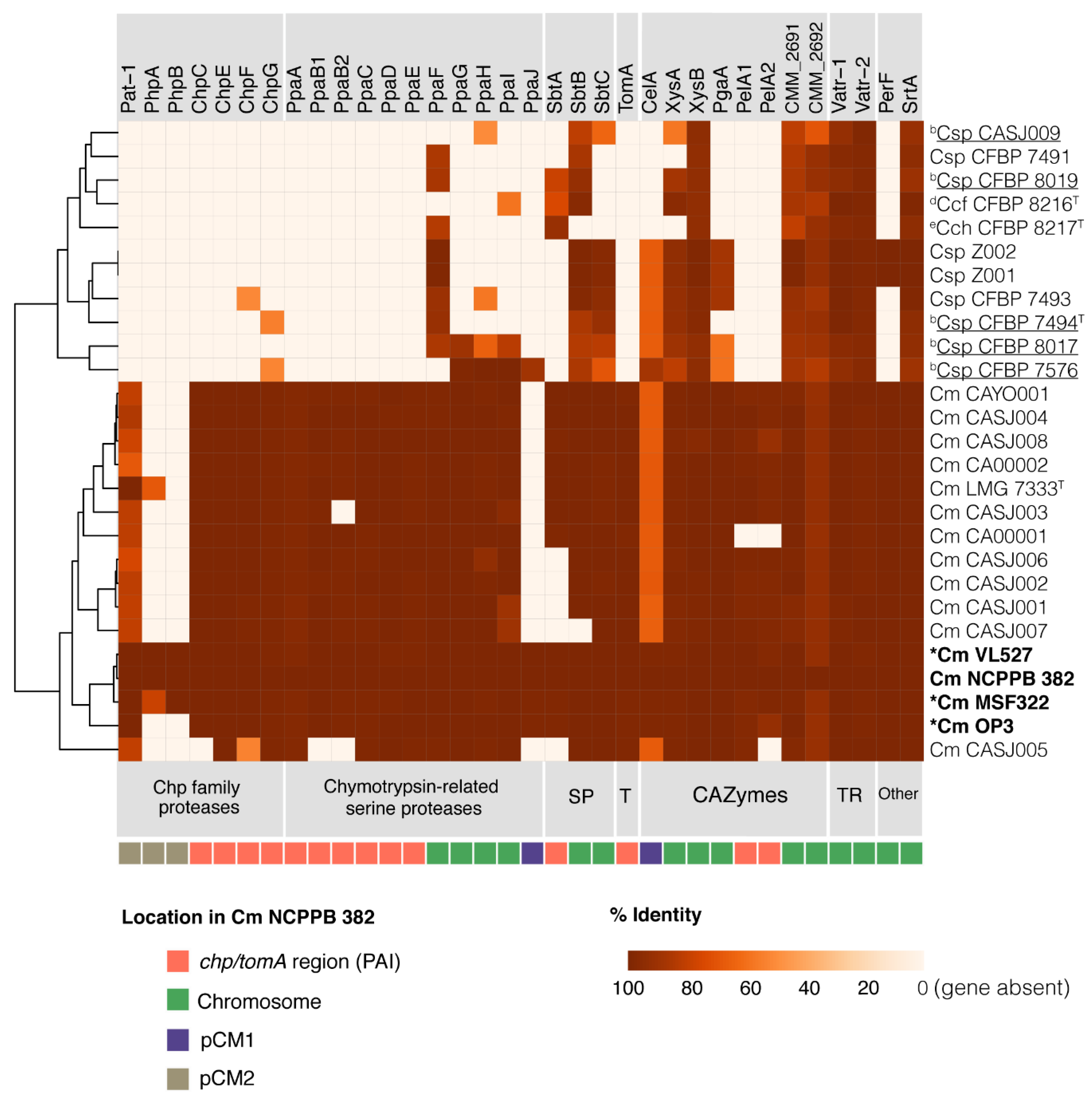 Microorganisms 08 01679 g005