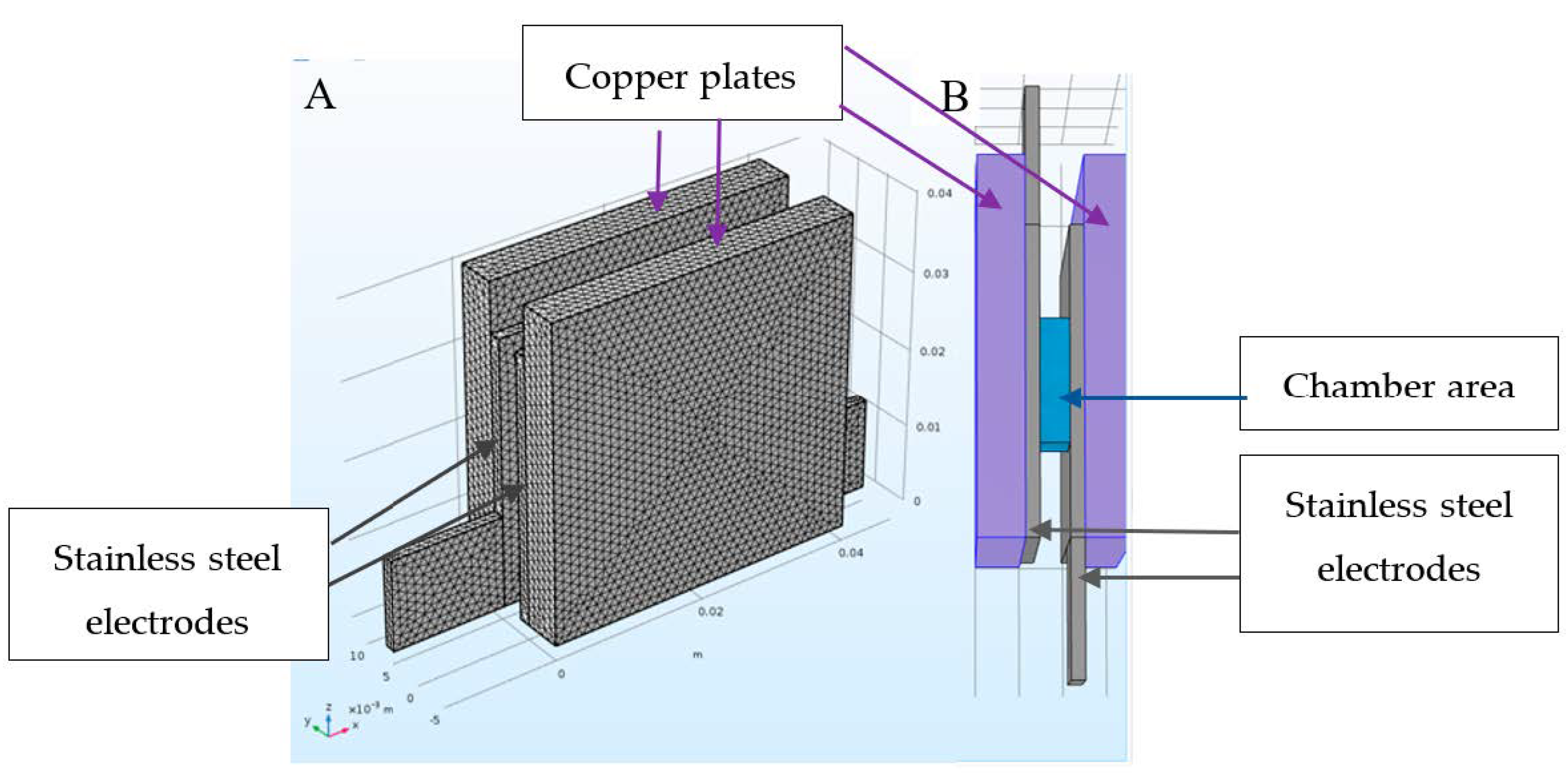 Microorganisms 08 01684 g002