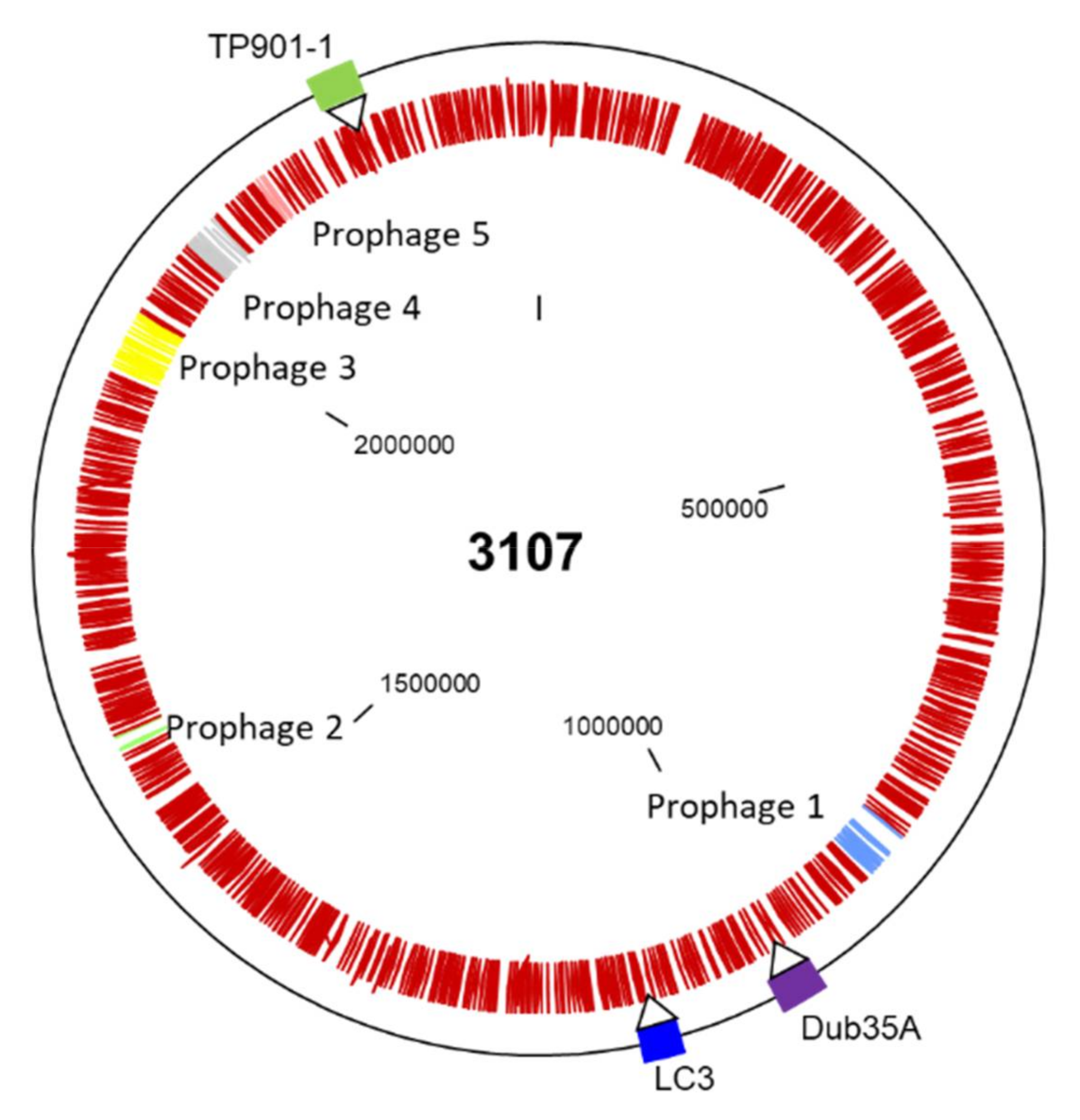 Microorganisms 08 01685 g001 Microorganisms 08 01685 g001