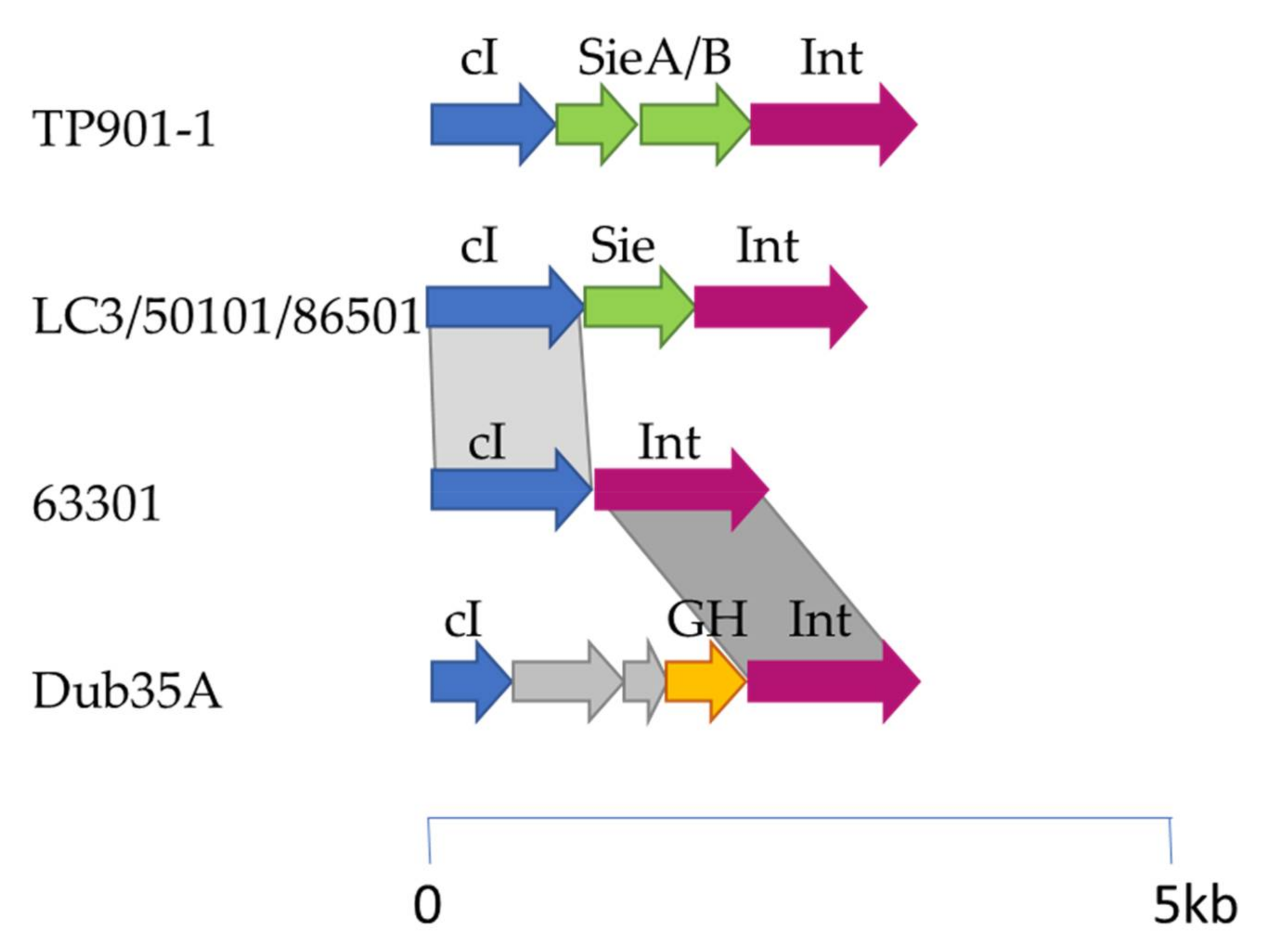 Microorganisms 08 01685 g002 Microorganisms 08 01685 g002