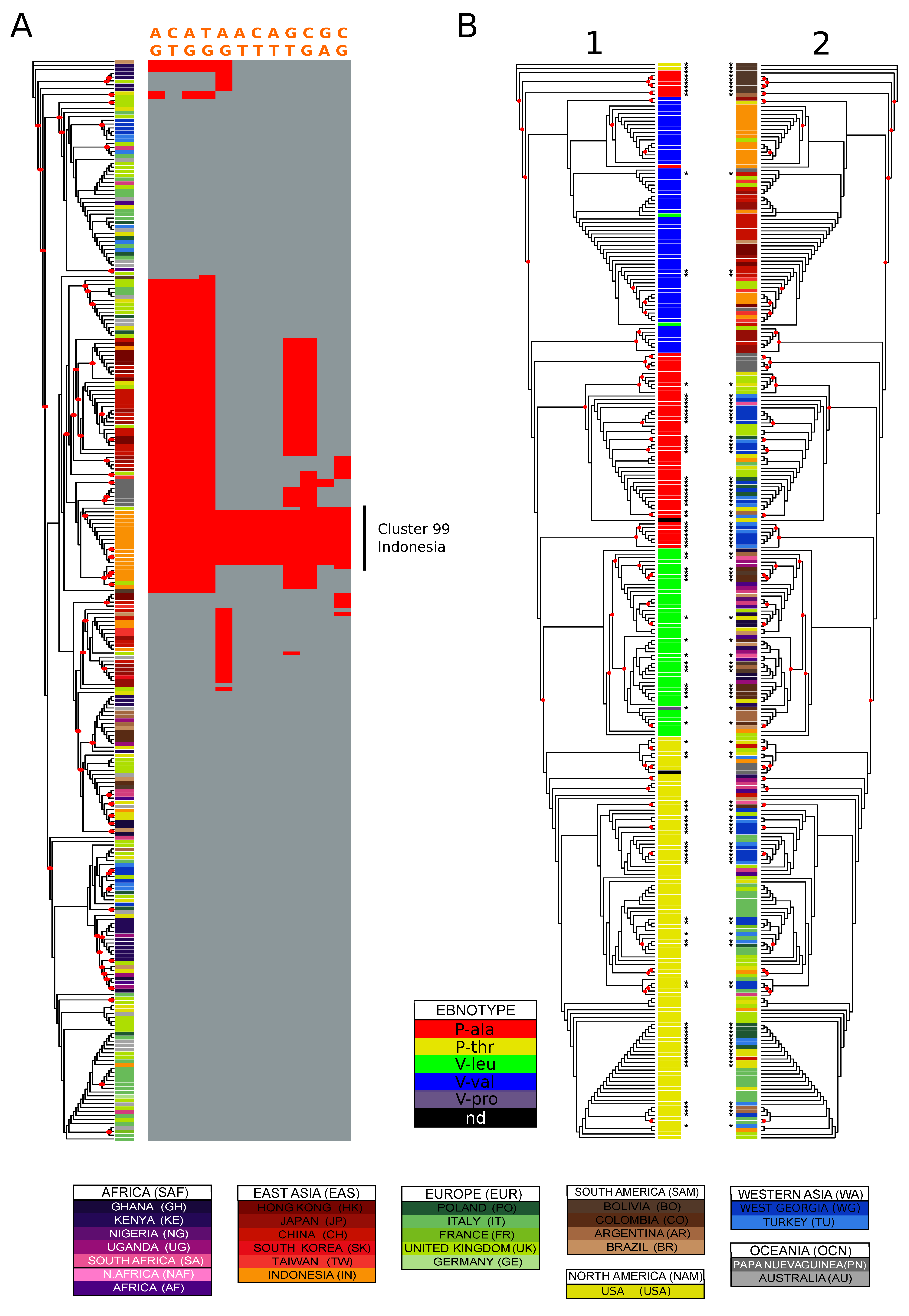 Microorganisms 08 01686 g004 Microorganisms 08 01686 g004