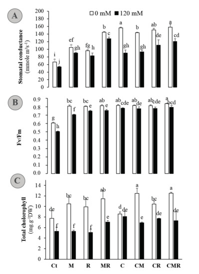 Microorganisms Free Full Text Potential Of Native Arbuscular Mycorrhizal Fungi Rhizobia And Or Green Compost As Alfalfa Medicago Sativa Enhancers Under Salinity Html Microorganisms Free Full Text Potential Of Native Arbuscular Mycorrhizal Fungi Rhizobia And Or Green Compost As Alfalfa Medicago Sativa Enhancers Under Salinity Html