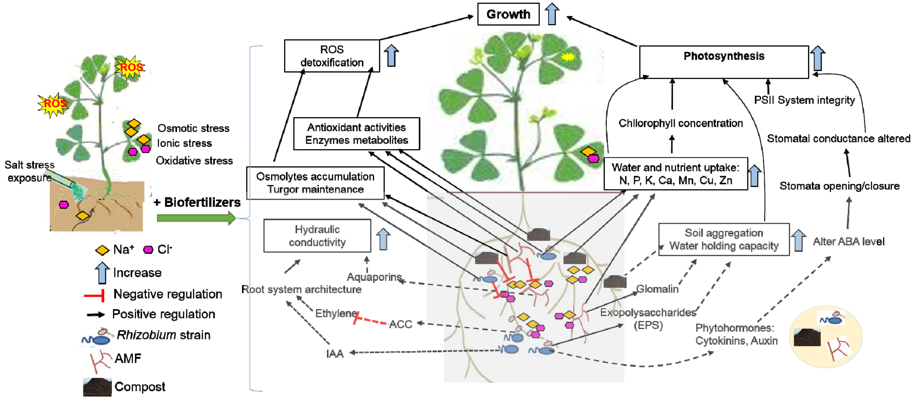Microorganisms 08 01695 g008 Microorganisms 08 01695 g008