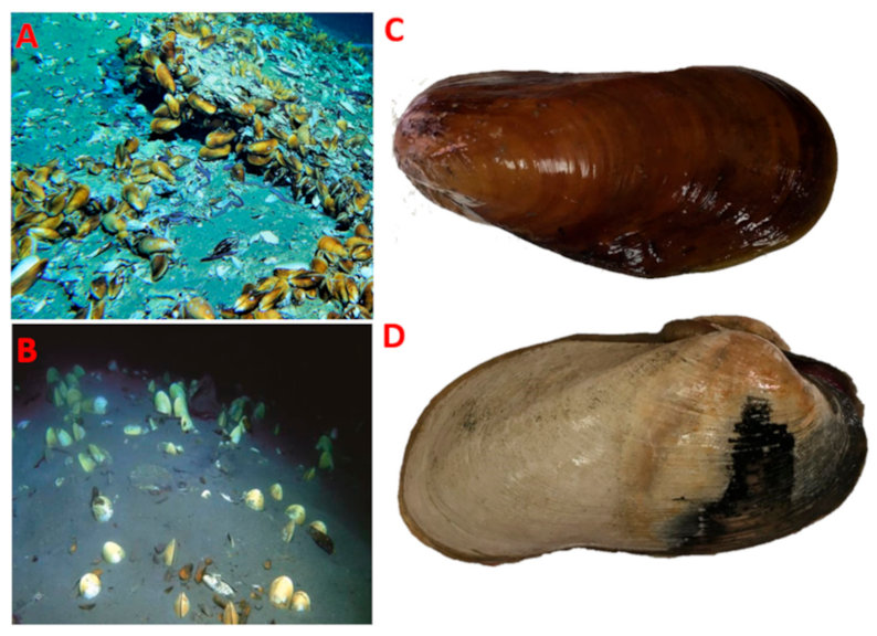 Microorganisms 08 01699 g001 Microorganisms 08 01699 g001