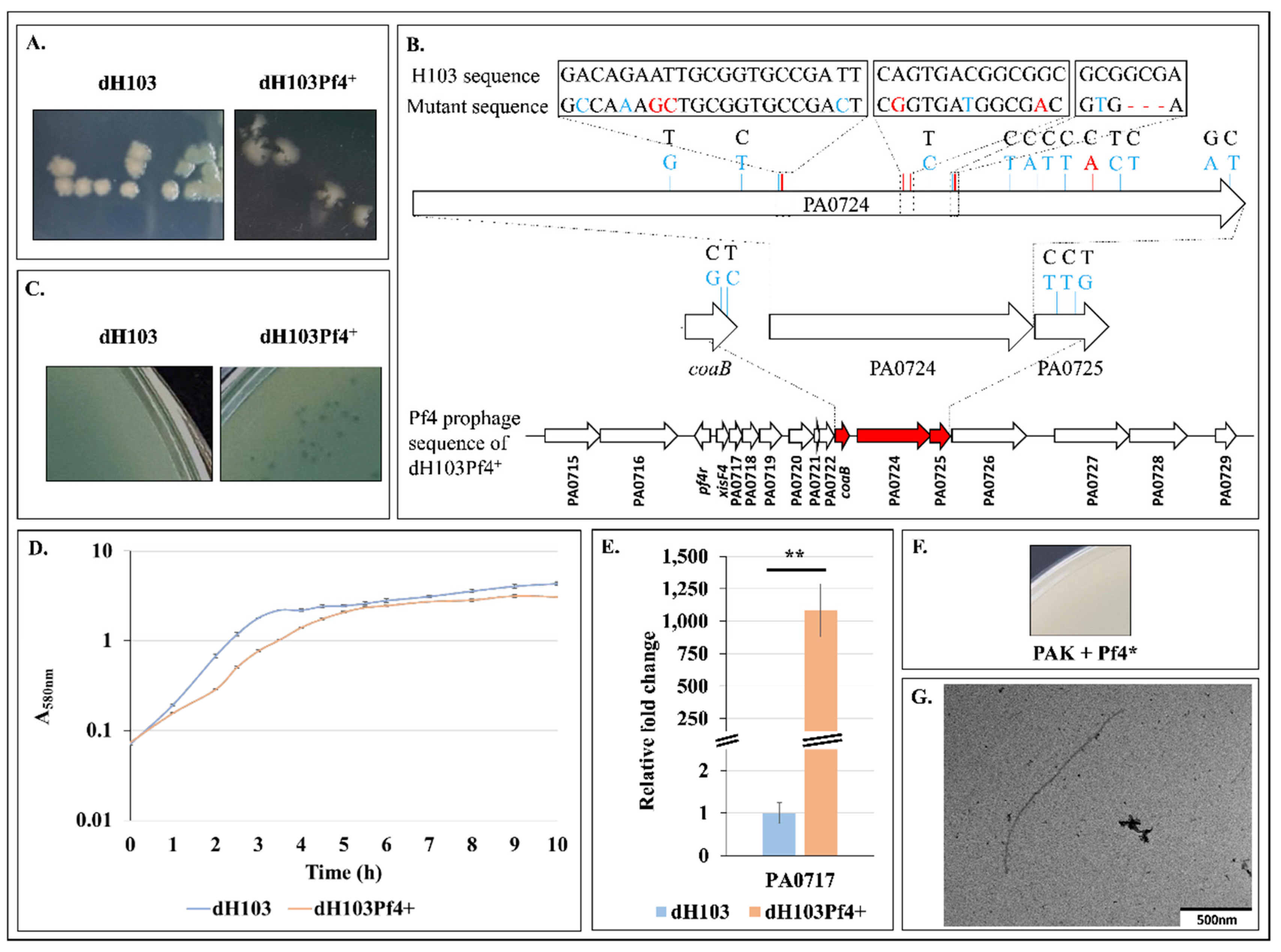 Microorganisms 08 01700 g001 Microorganisms 08 01700 g001