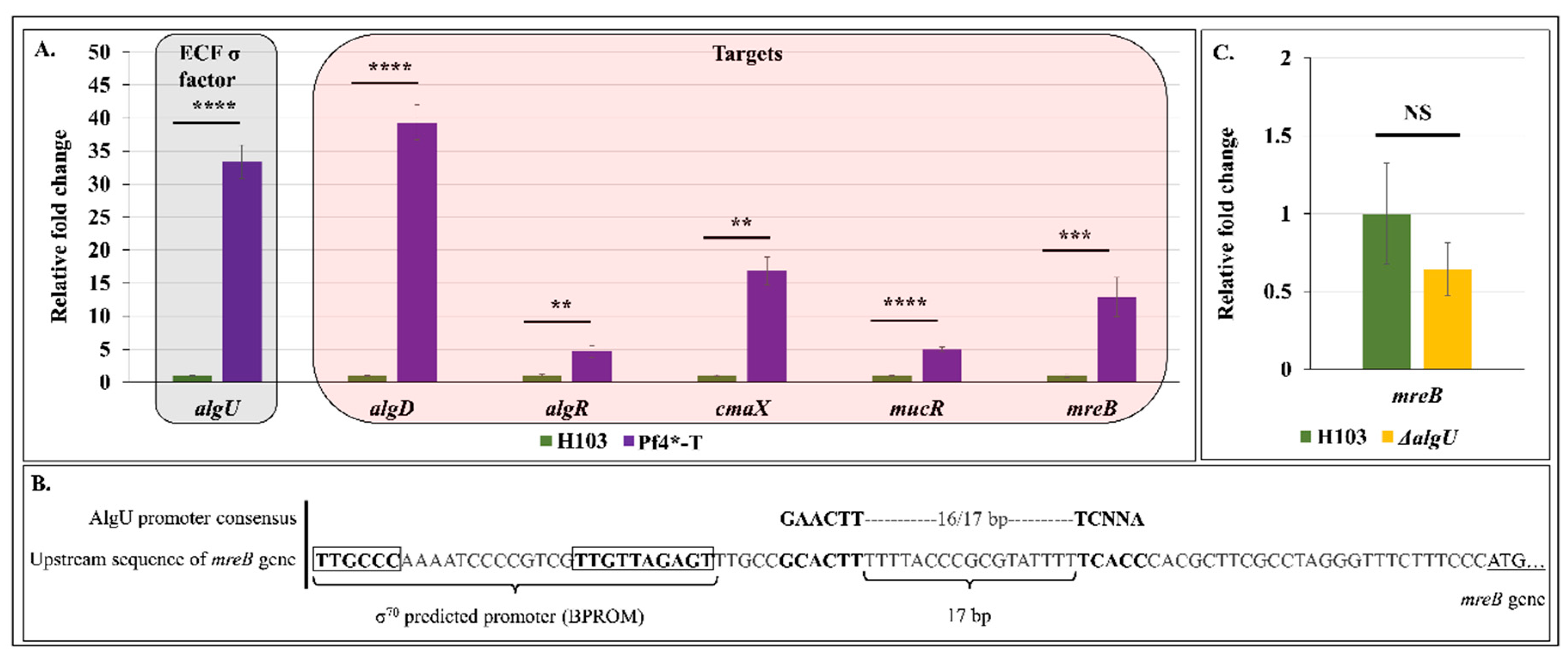 Microorganisms 08 01700 g006 Microorganisms 08 01700 g006