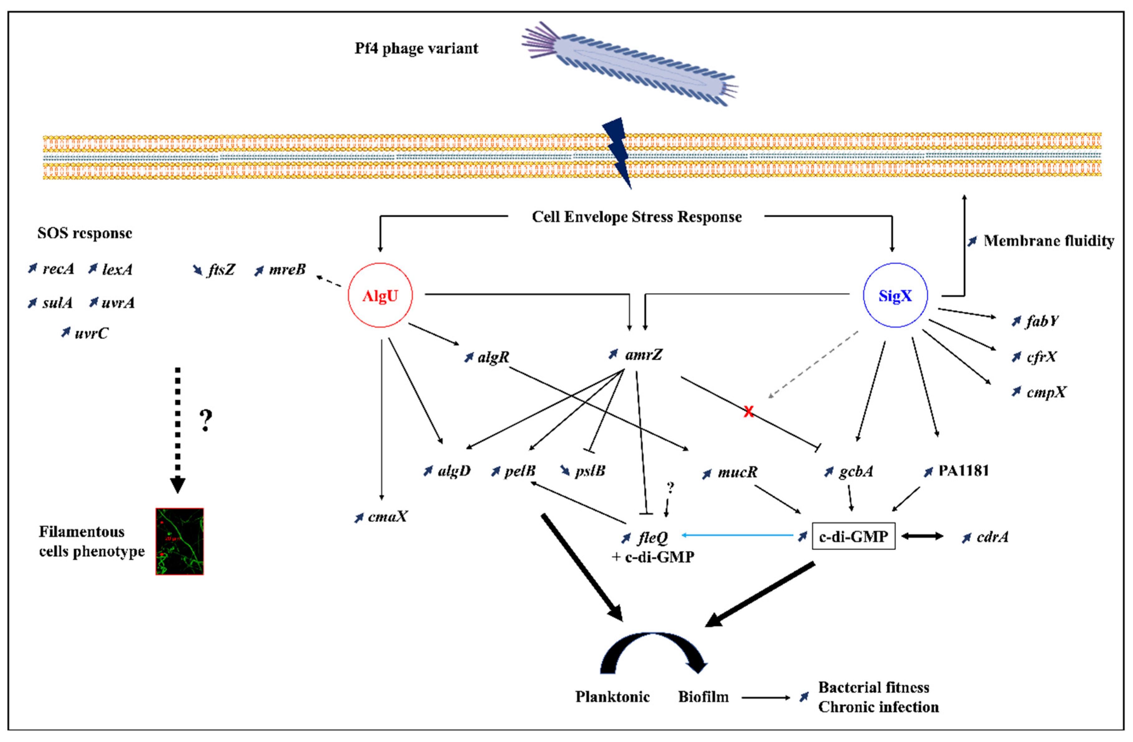 Microorganisms 08 01700 g007 Microorganisms 08 01700 g007