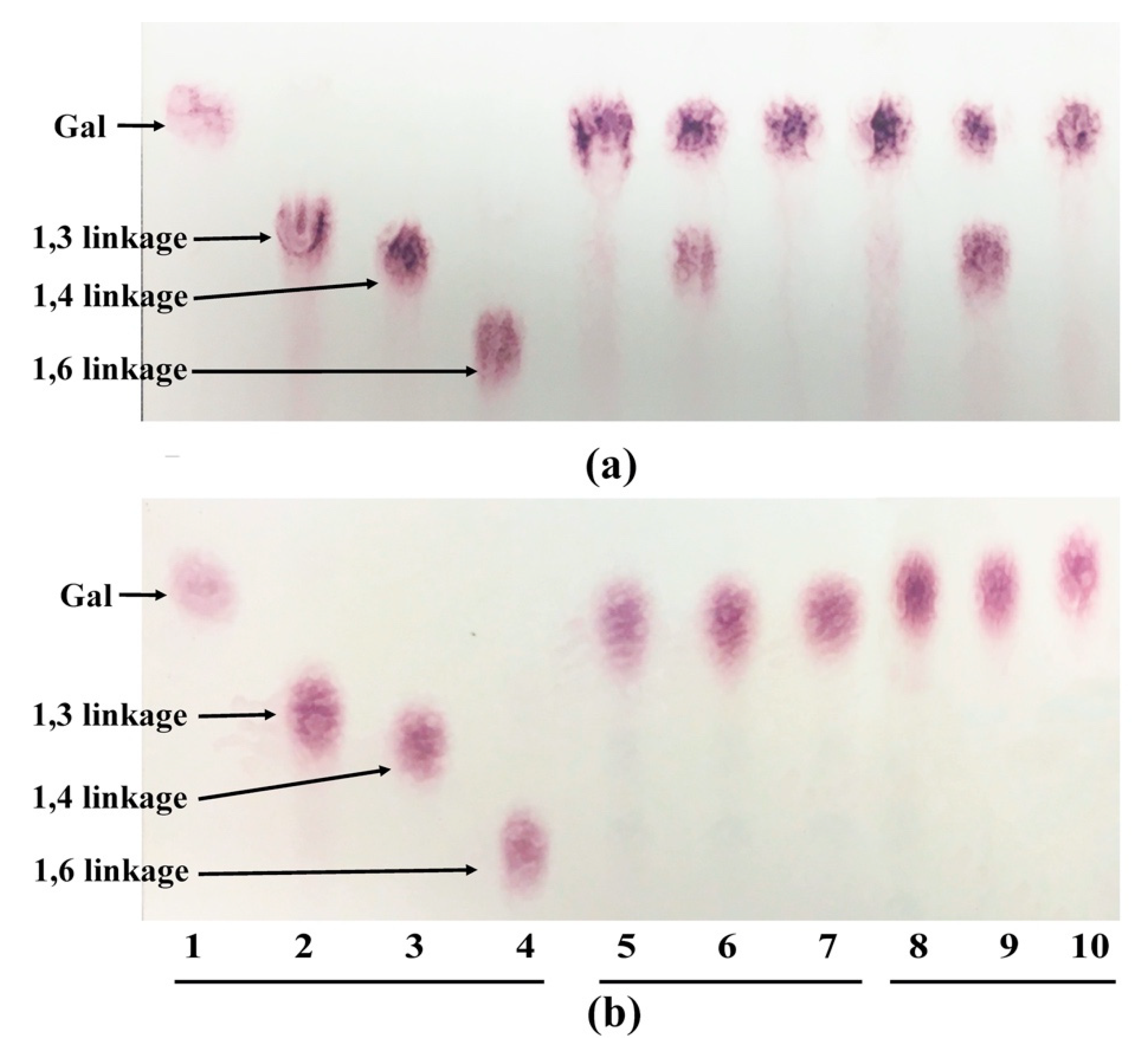 Microorganisms 08 01703 g001