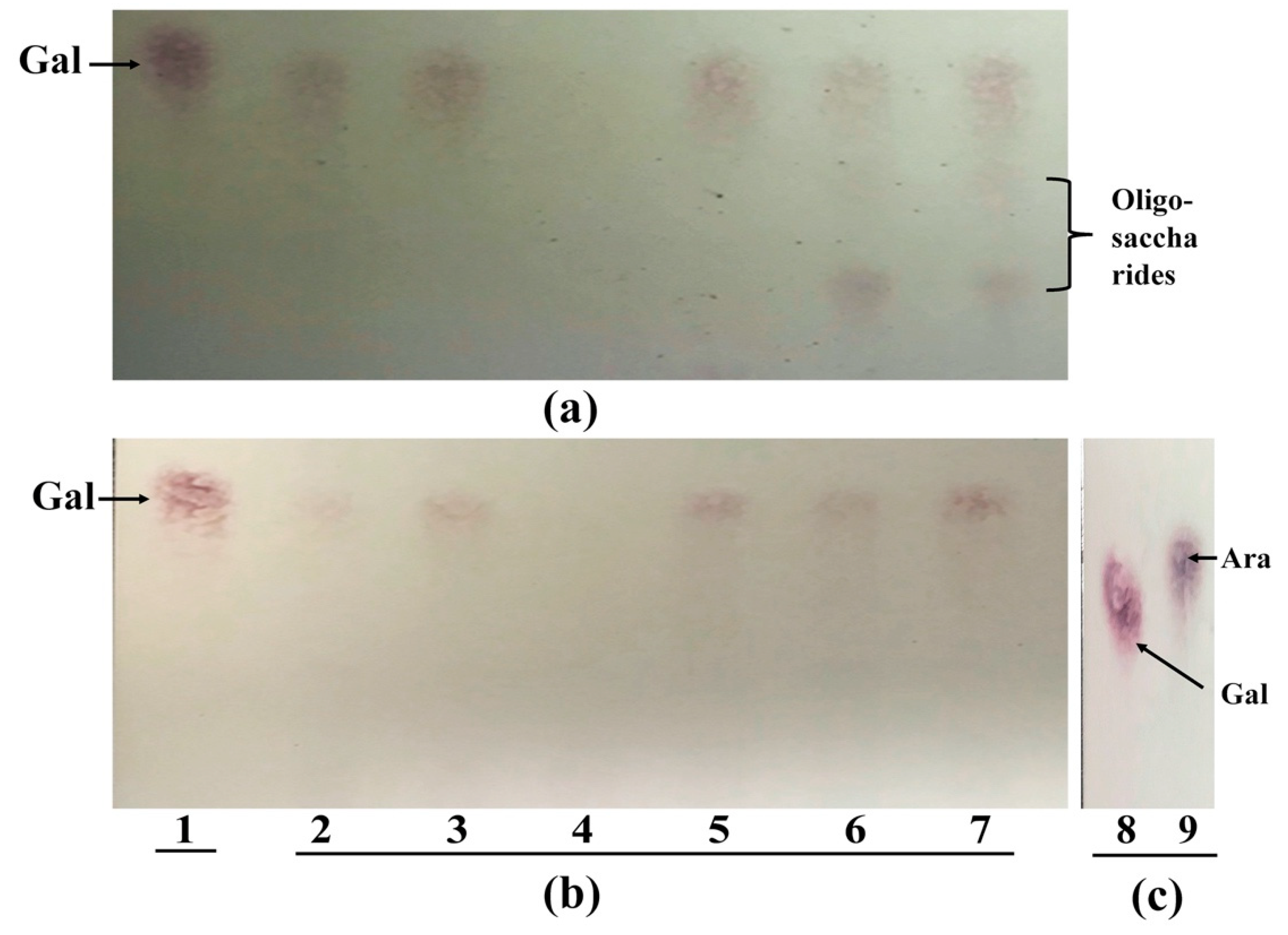 Microorganisms 08 01703 g002