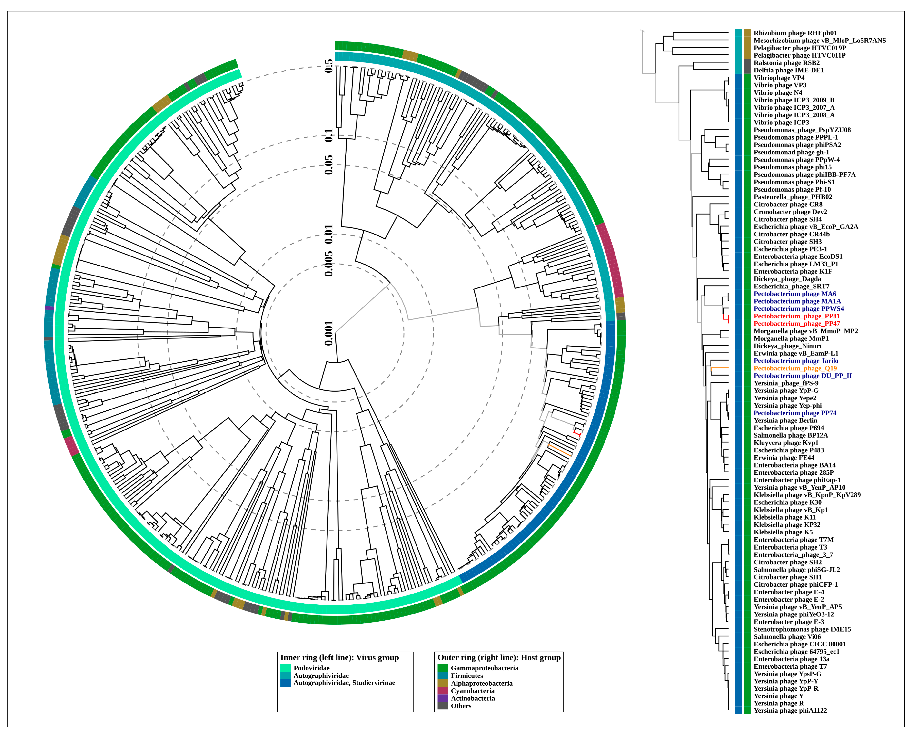 Microorganisms 08 01707 g004 Microorganisms 08 01707 g004