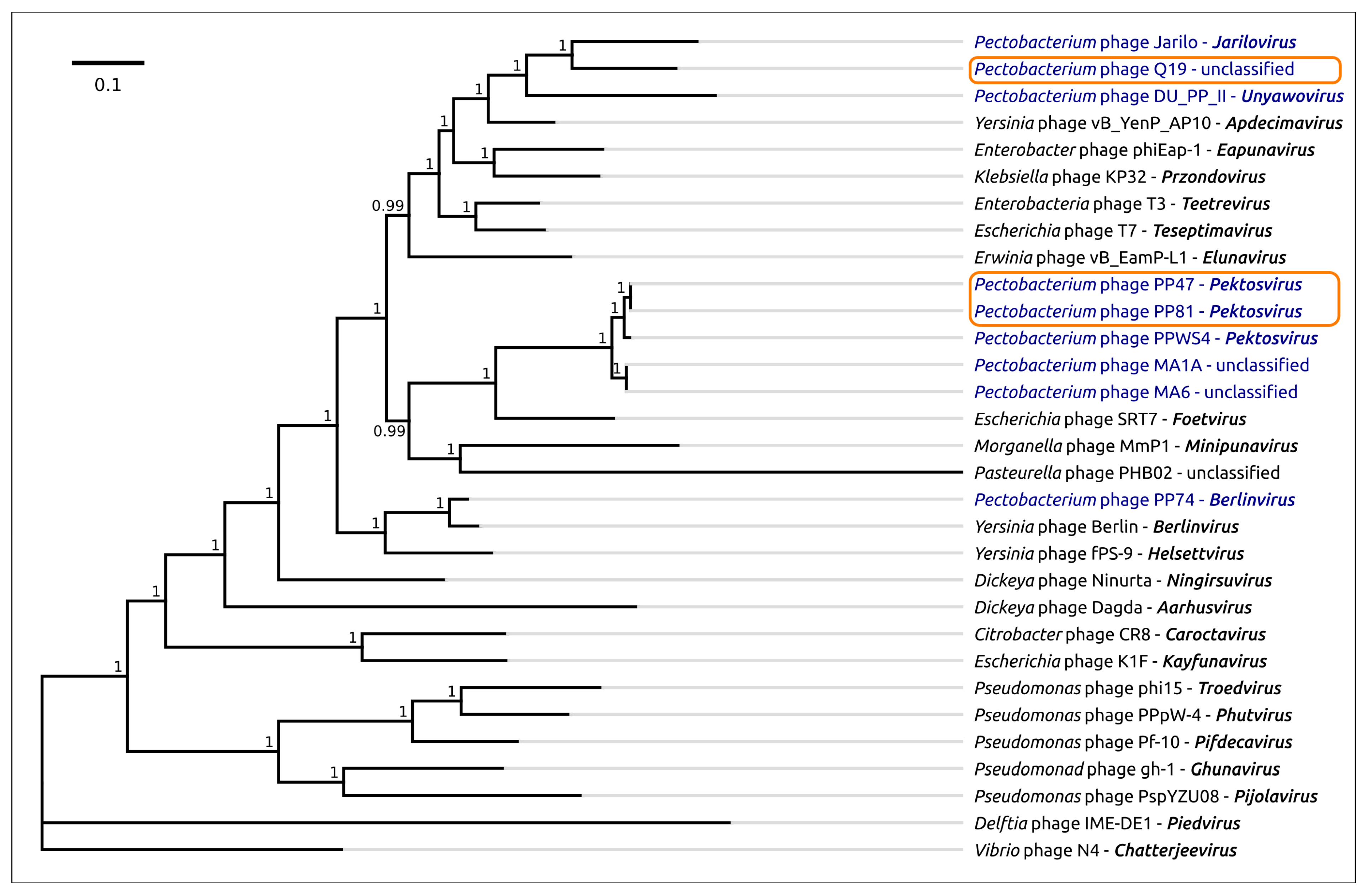 Microorganisms 08 01707 g005 Microorganisms 08 01707 g005