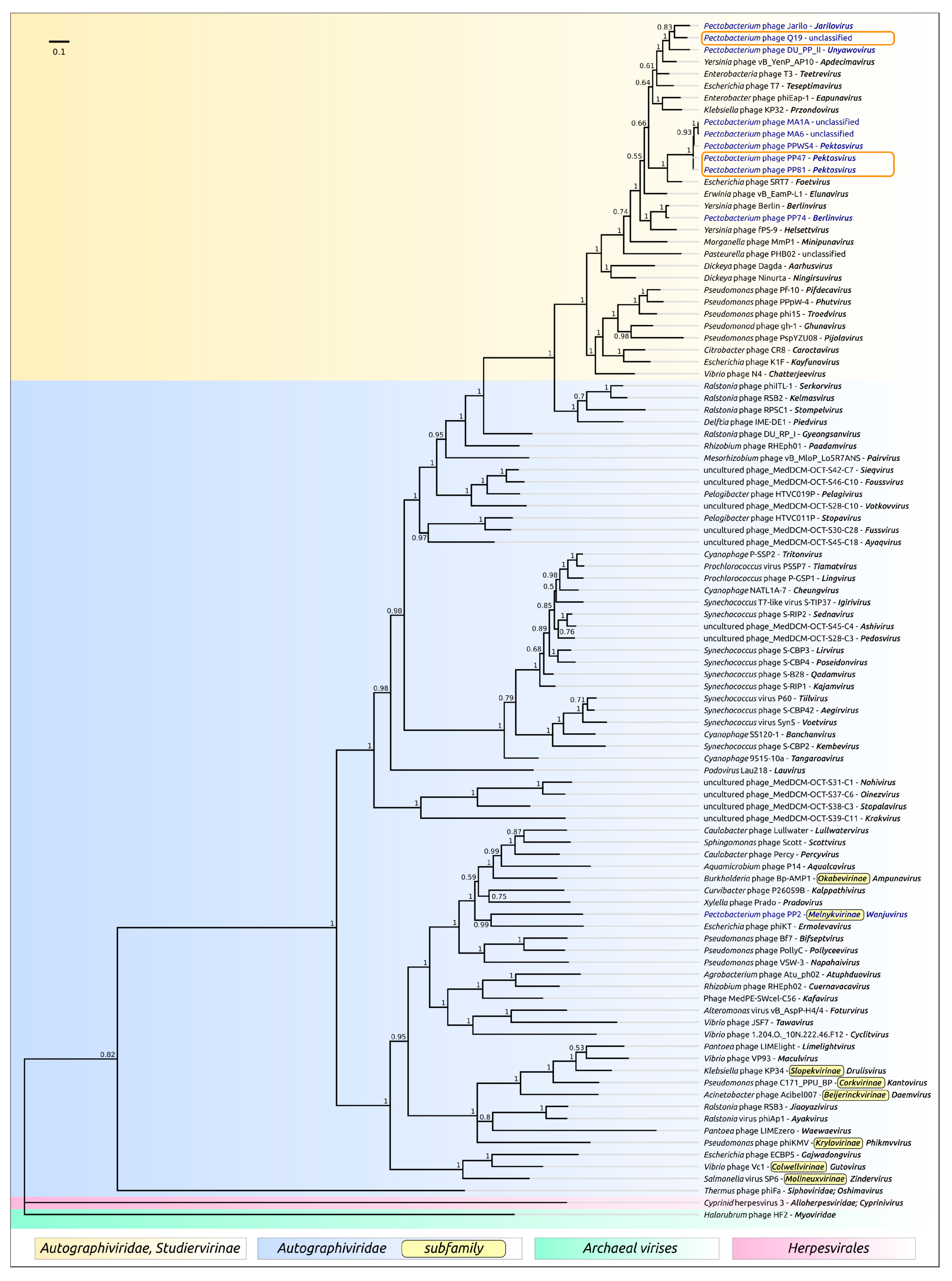 Microorganisms 08 01707 g006 Microorganisms 08 01707 g006