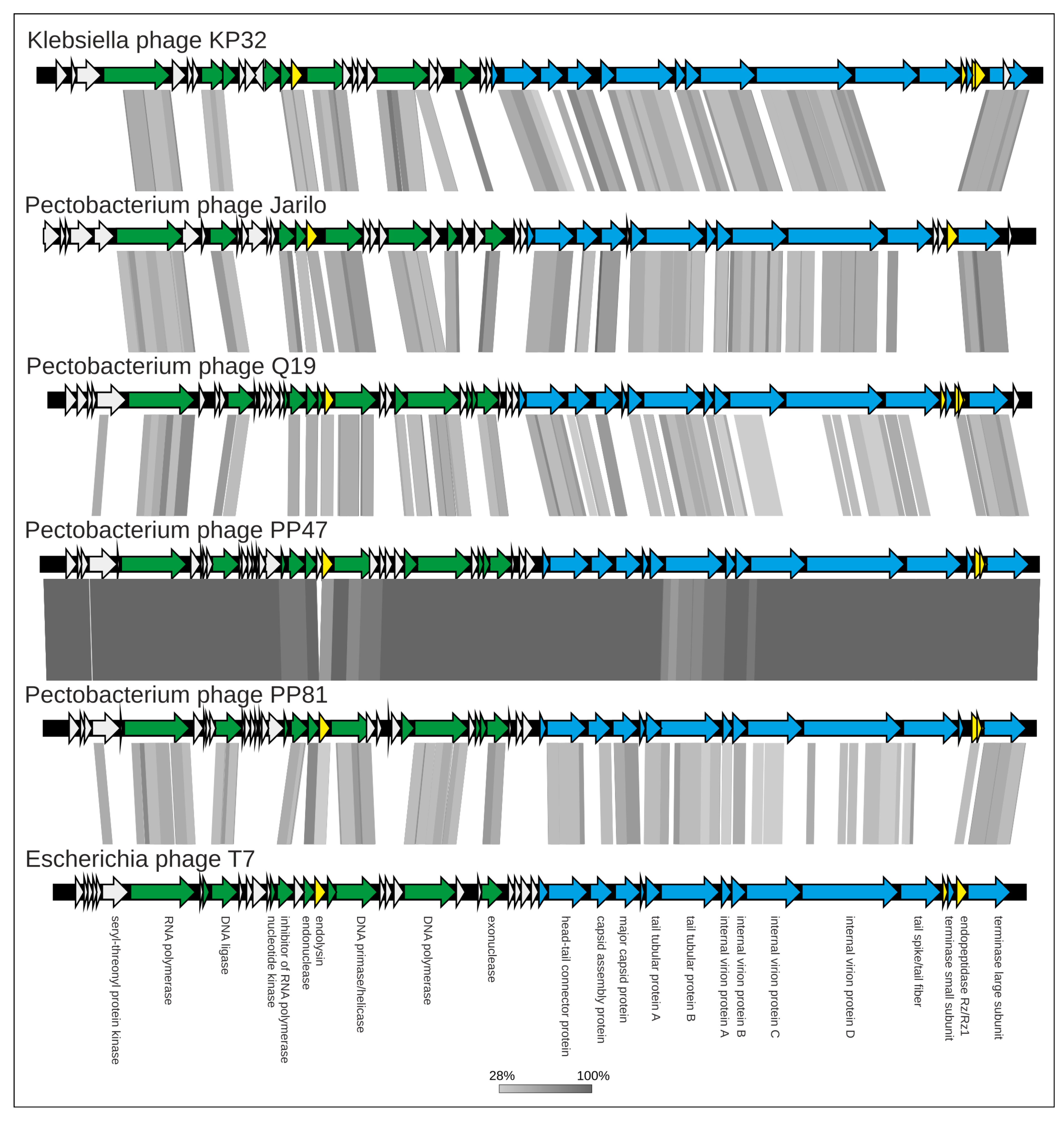Microorganisms 08 01707 g008 Microorganisms 08 01707 g008