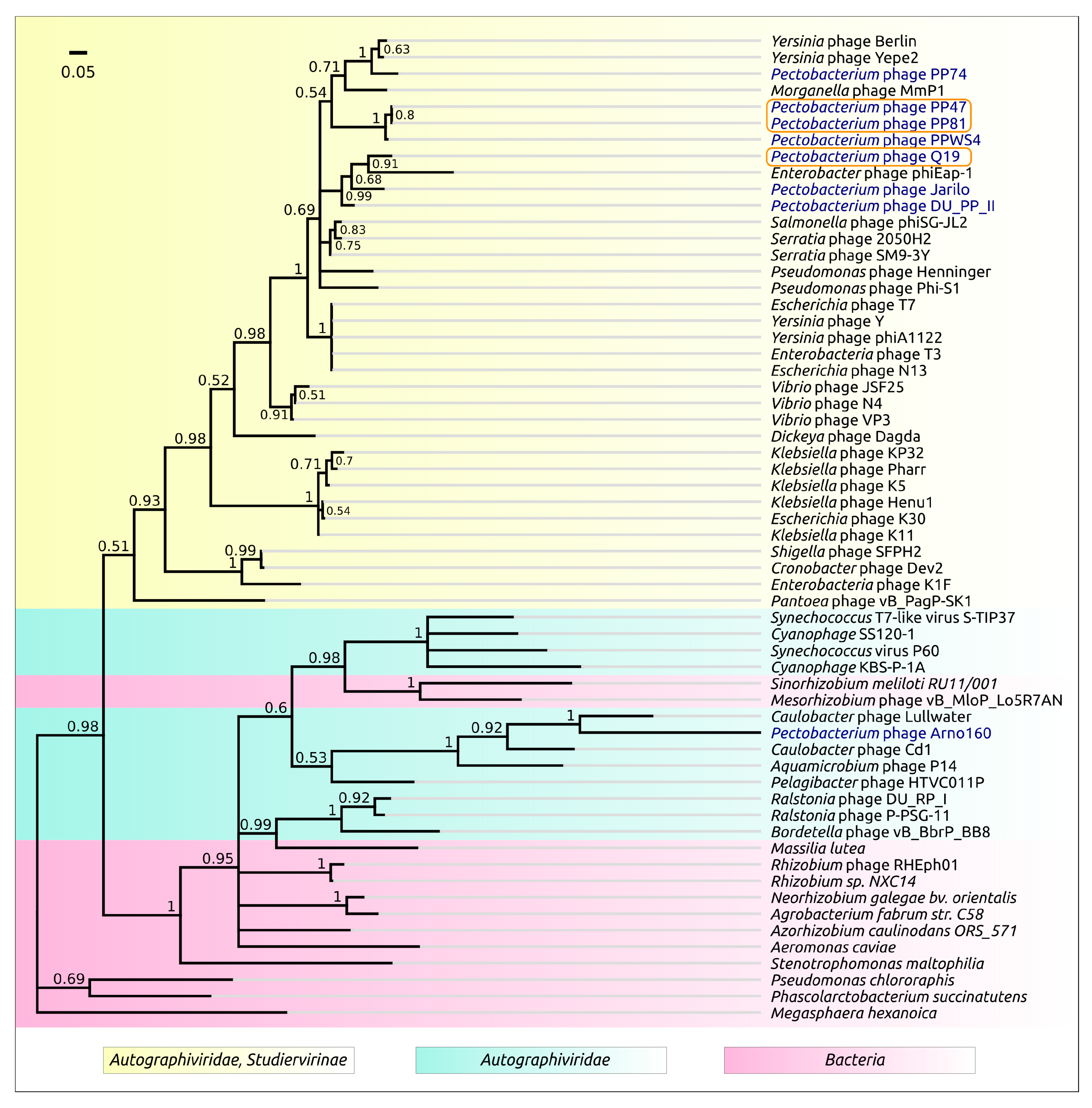 Microorganisms 08 01707 g010 Microorganisms 08 01707 g010