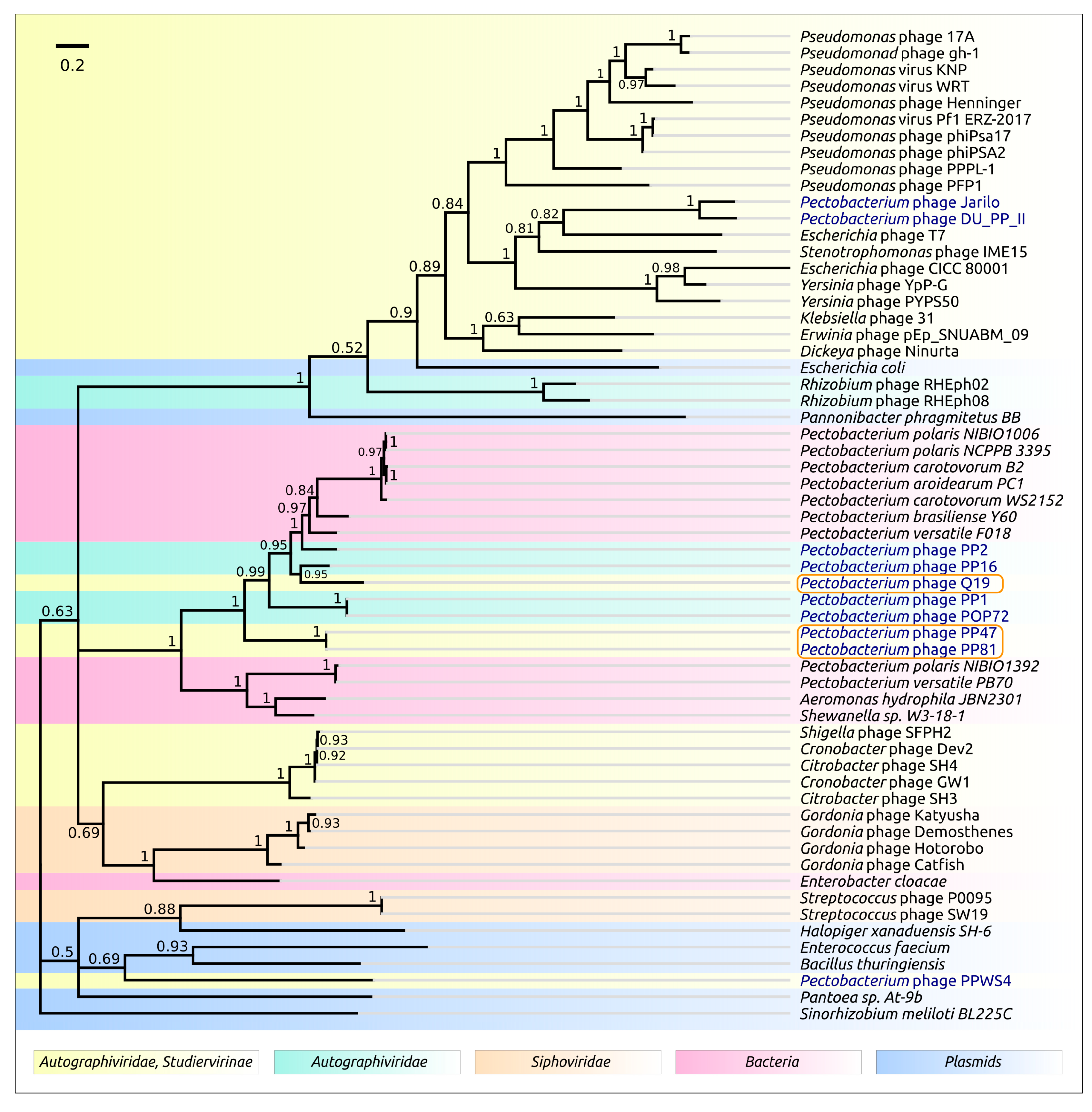 Microorganisms 08 01707 g011 Microorganisms 08 01707 g011