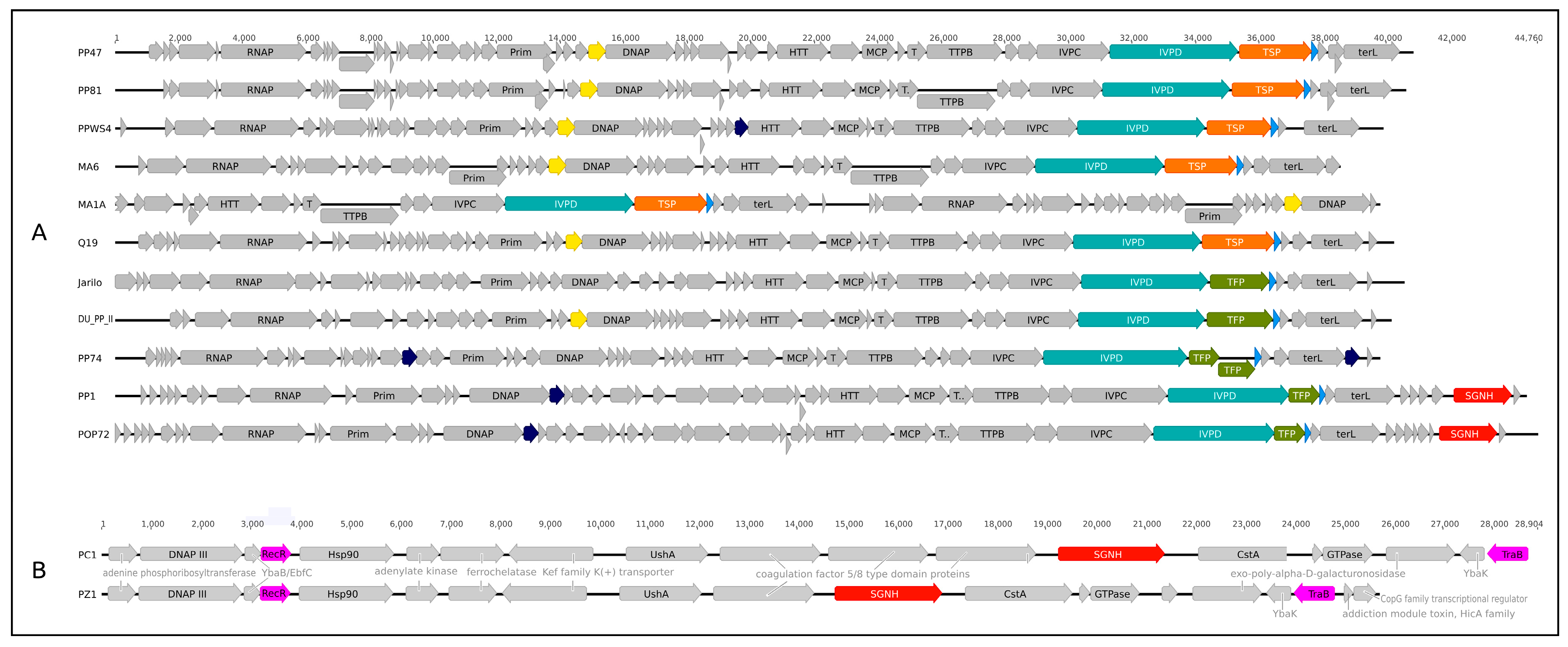 Microorganisms 08 01707 g012 Microorganisms 08 01707 g012