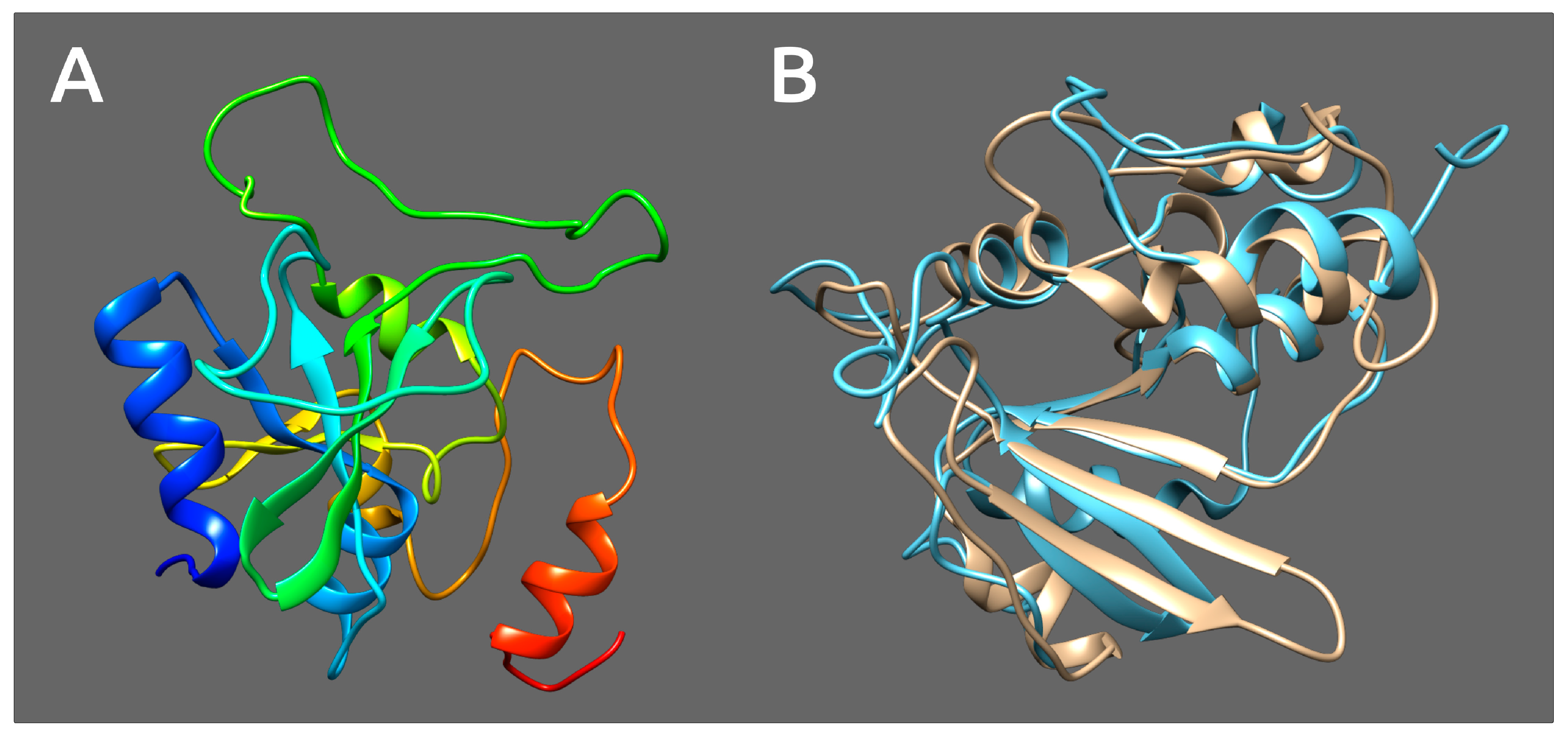 Microorganisms 08 01707 g013 Microorganisms 08 01707 g013