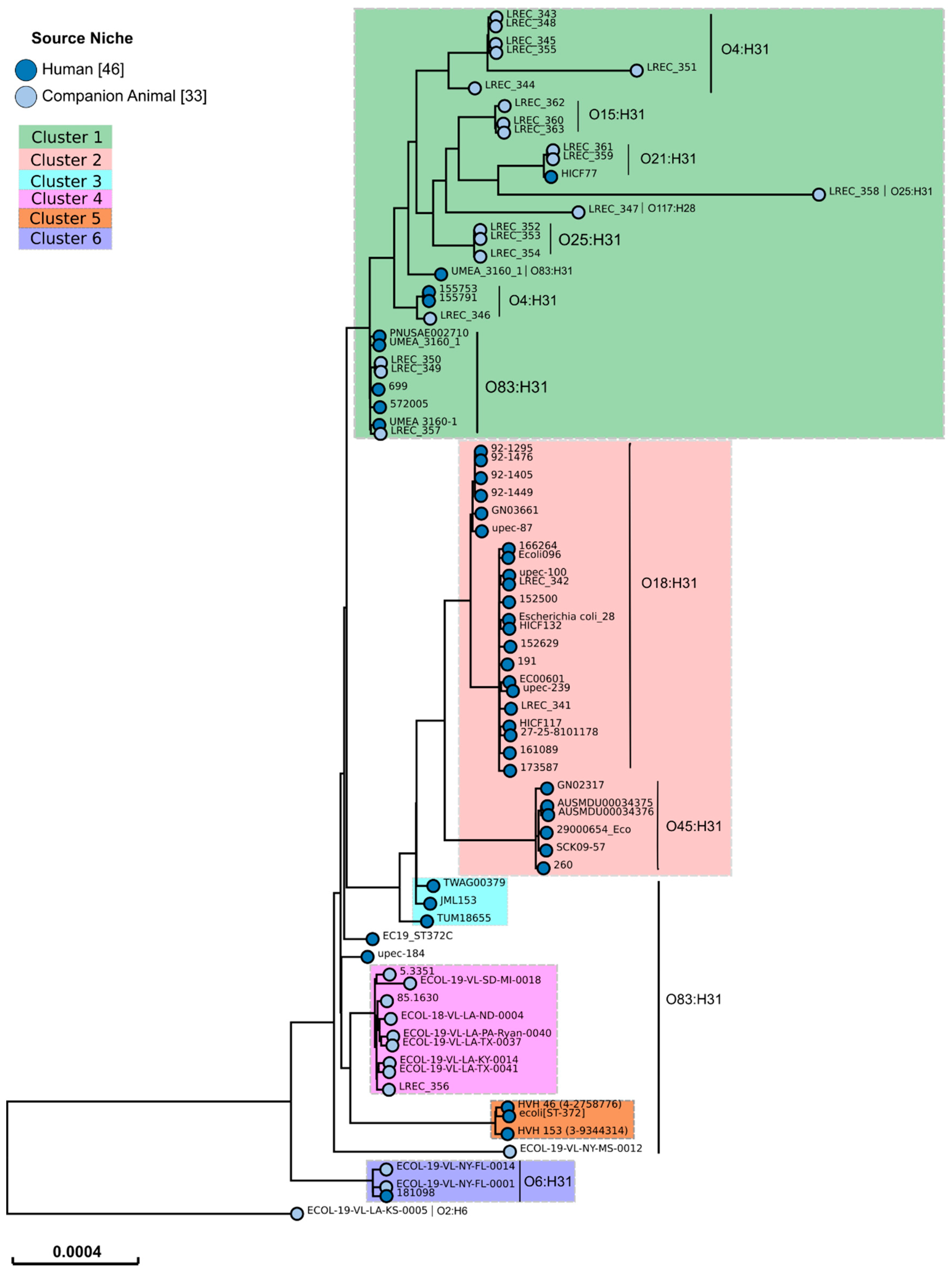 Microorganisms 08 01712 g001 Microorganisms 08 01712 g001