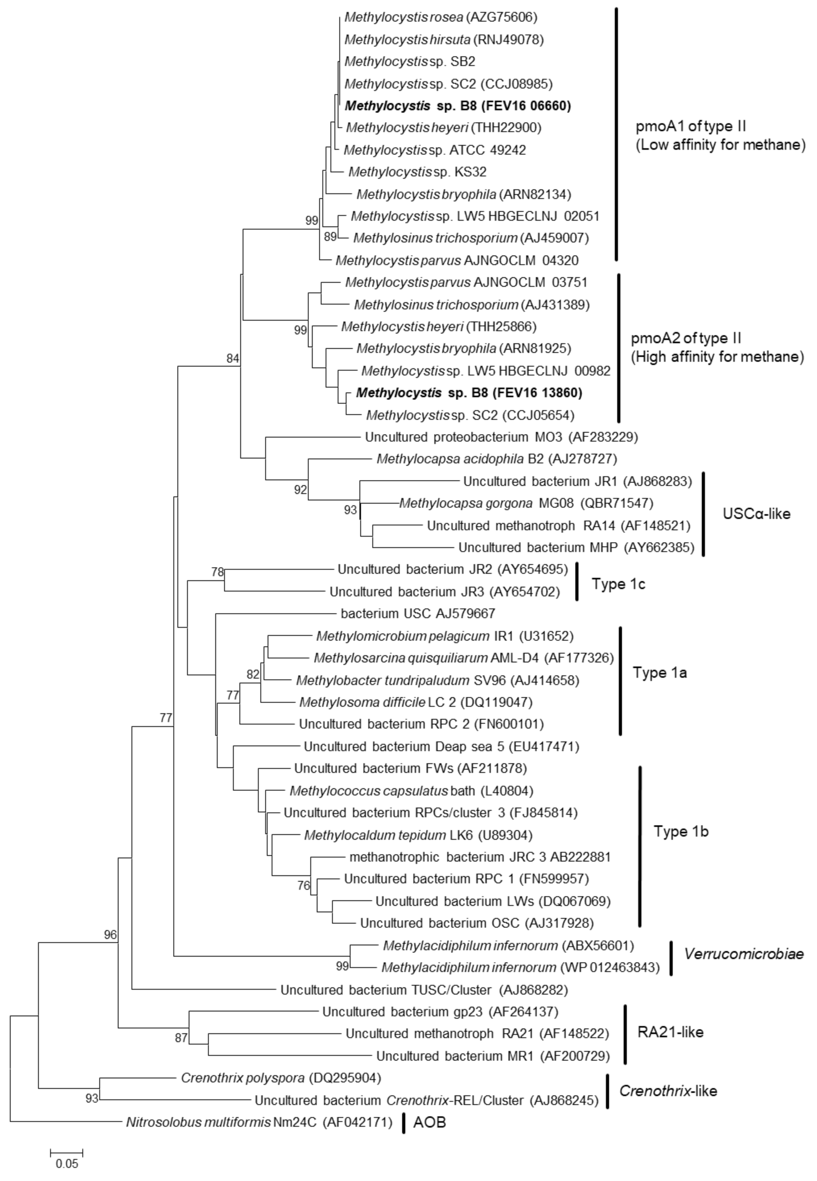 Microorganisms 08 01719 g002