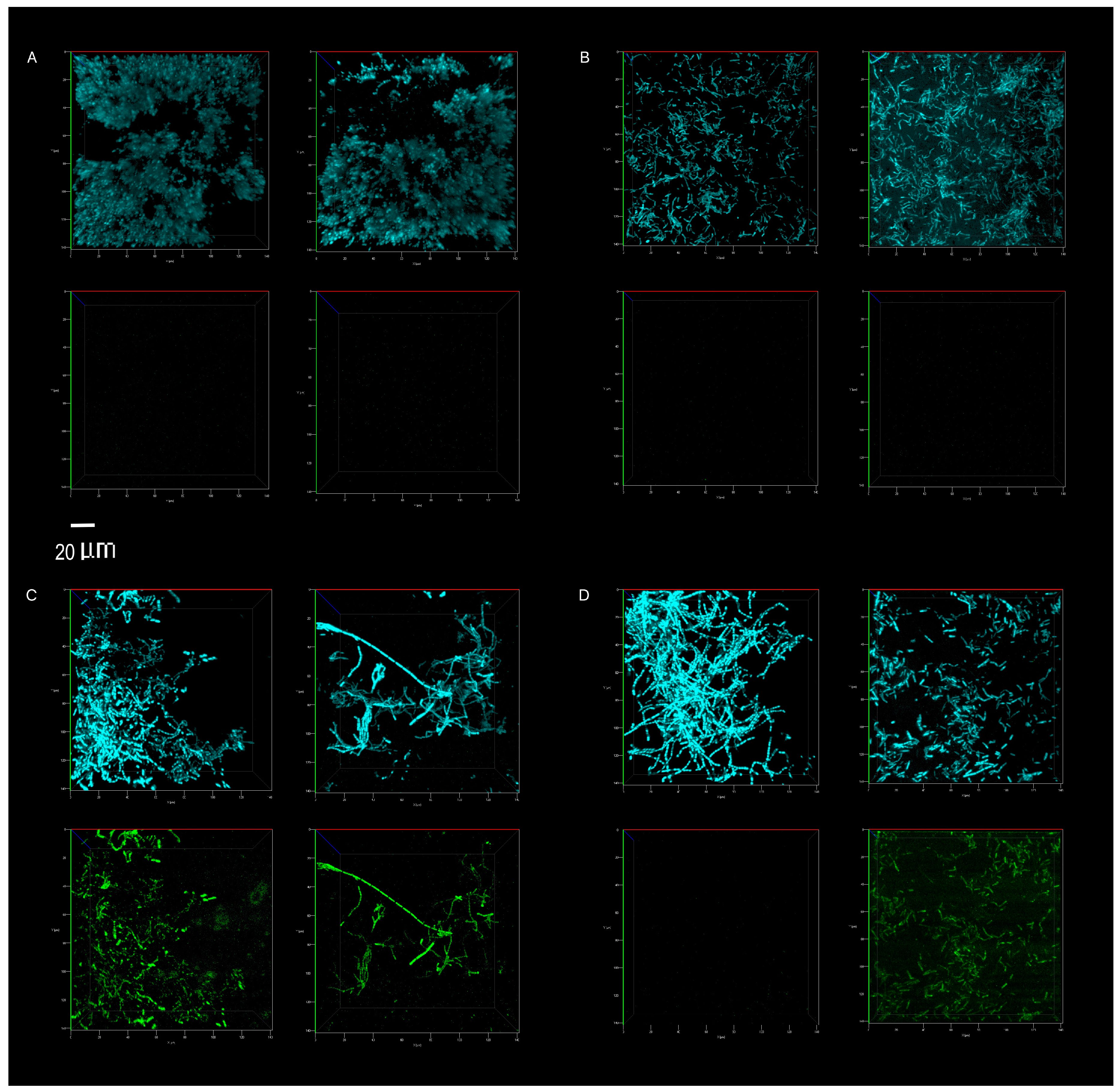 Microorganisms 08 01726 g006