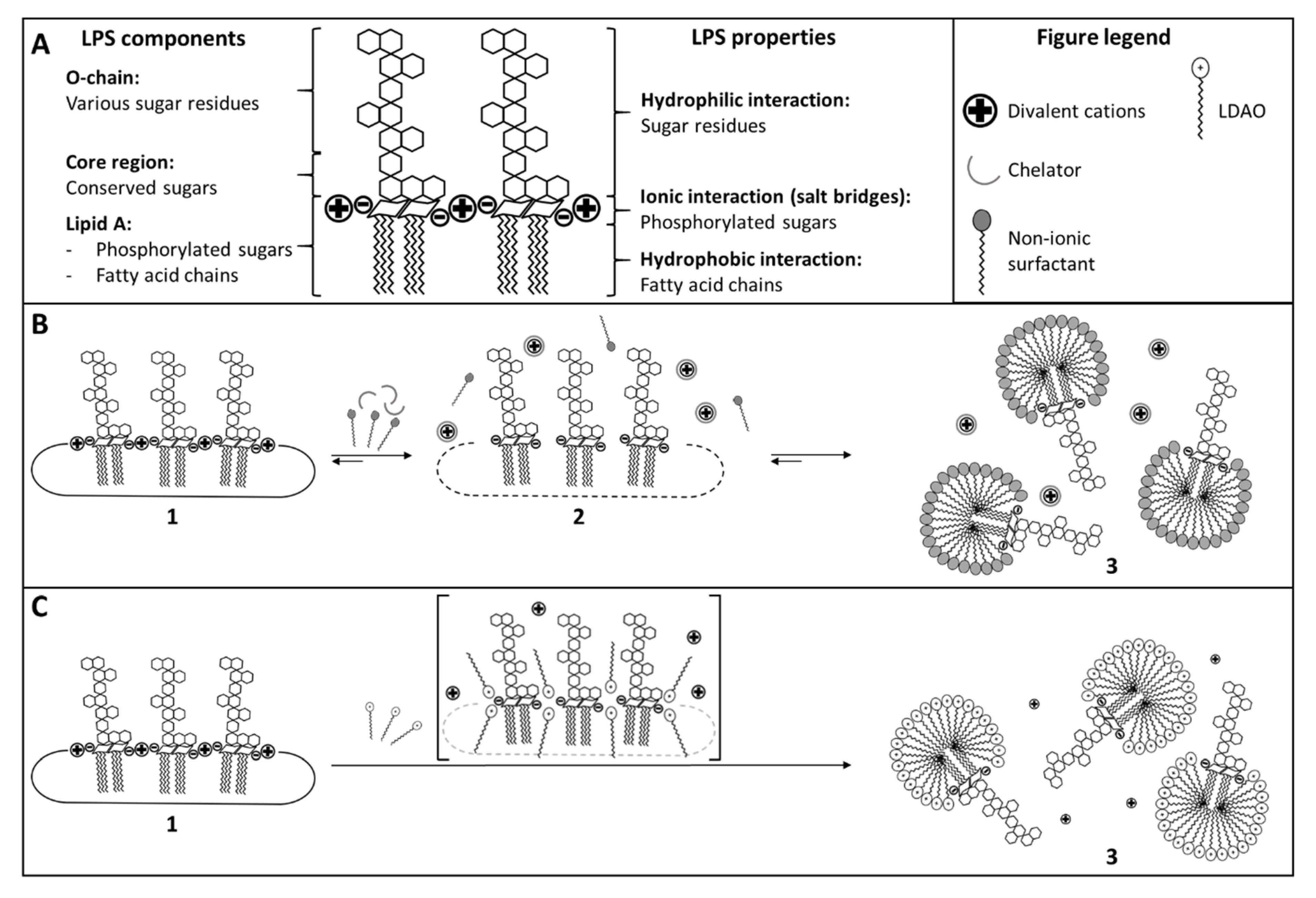 Microorganisms 08 01728 g004