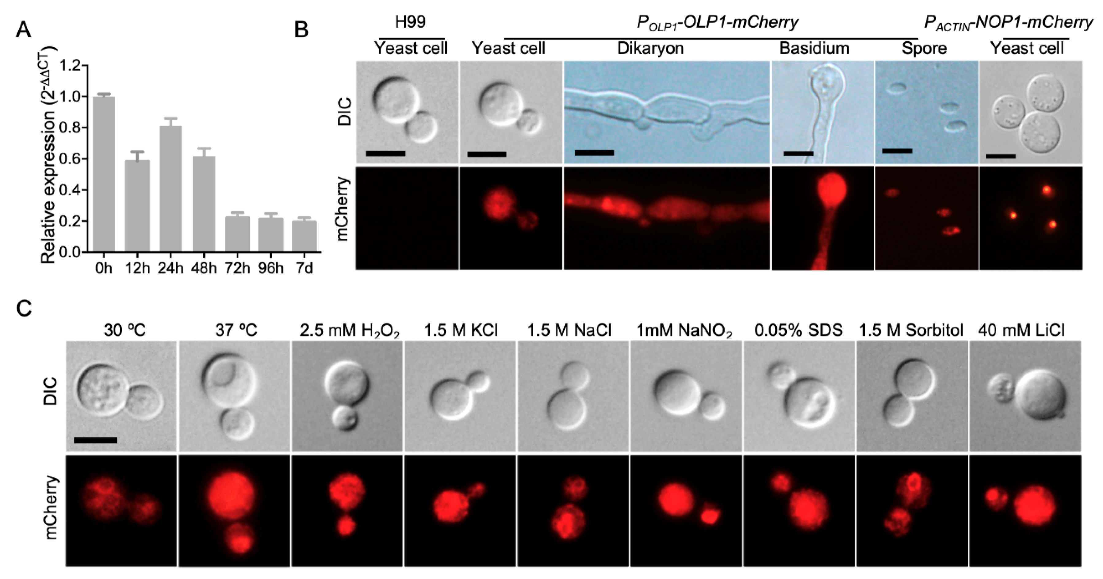 Microorganisms 08 01730 g002 Microorganisms 08 01730 g002