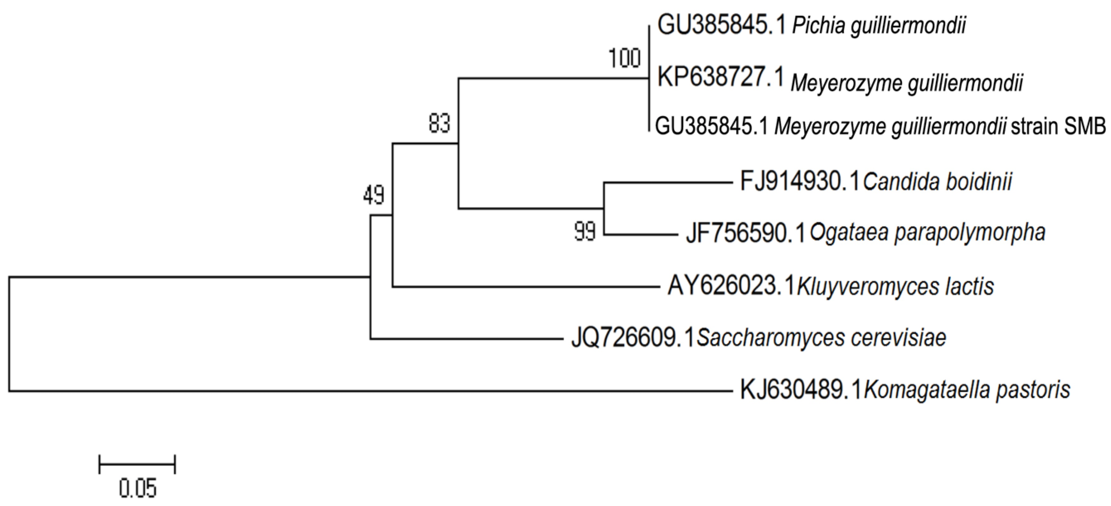 Microorganisms 08 01738 g001 Microorganisms 08 01738 g001