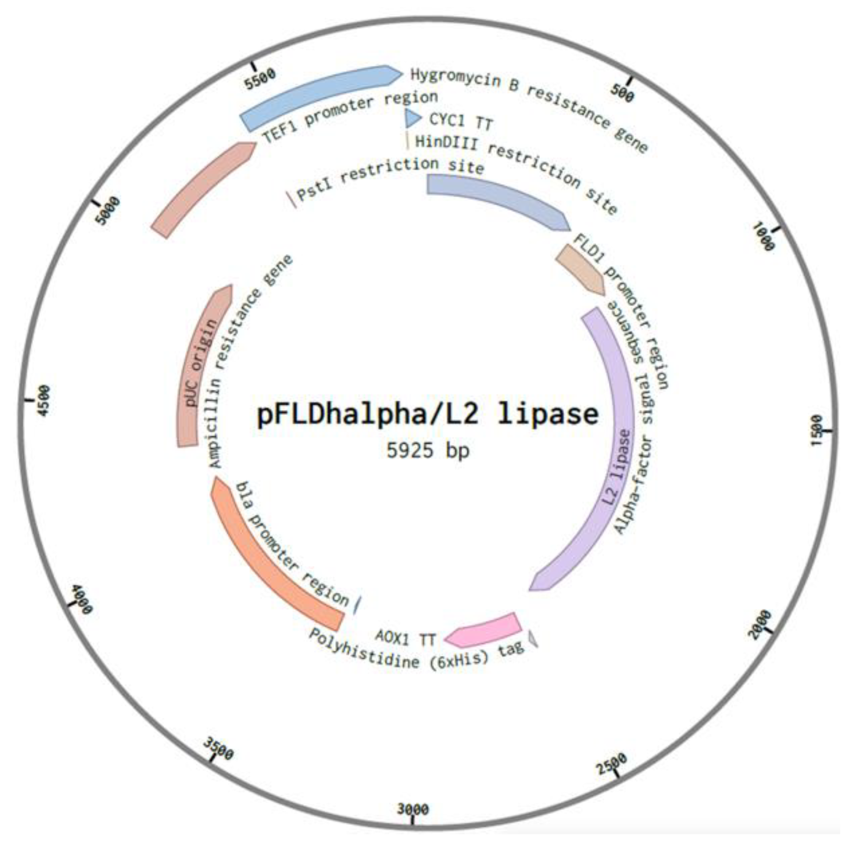 Microorganisms 08 01738 g003 Microorganisms 08 01738 g003