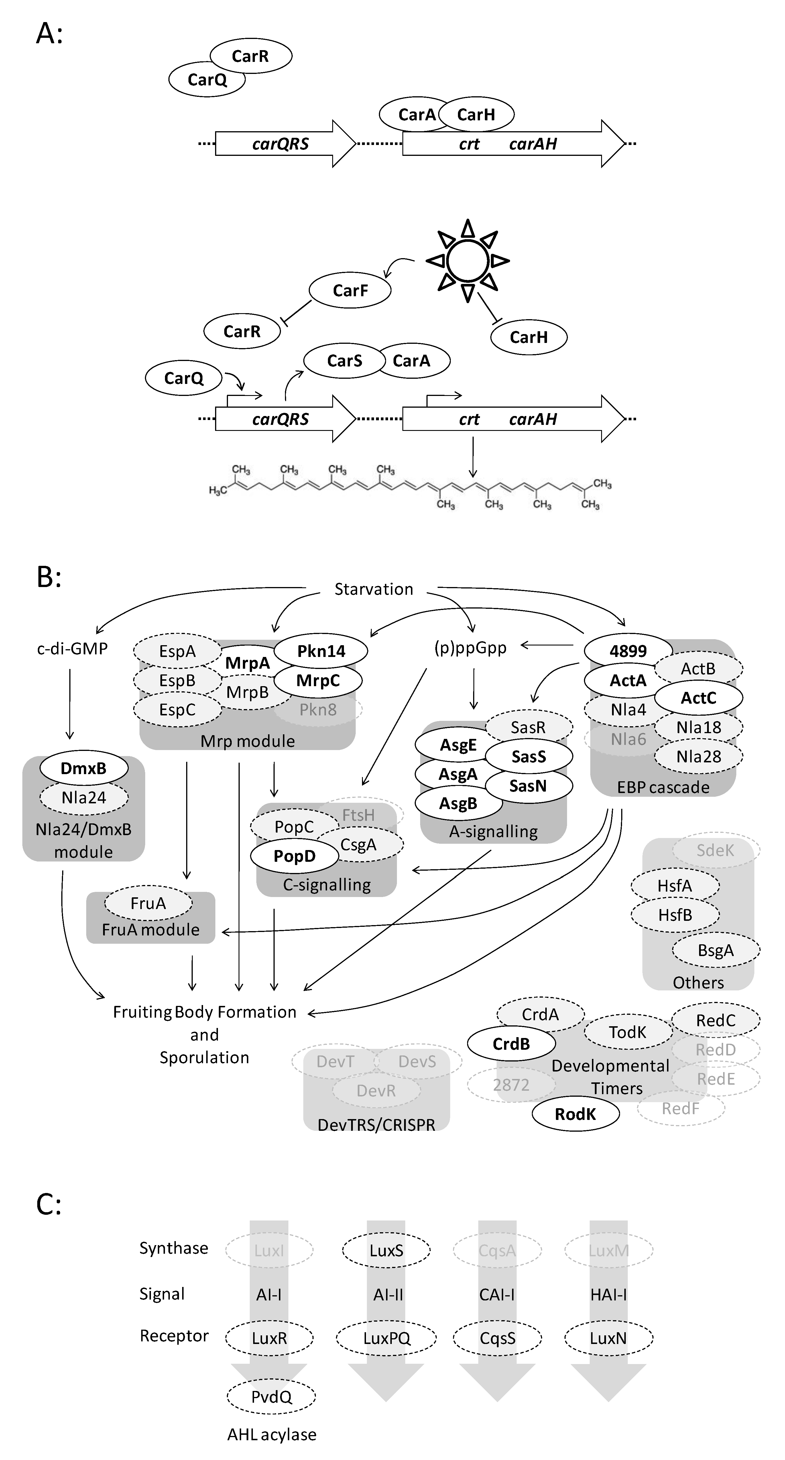 Microorganisms 08 01739 g003
