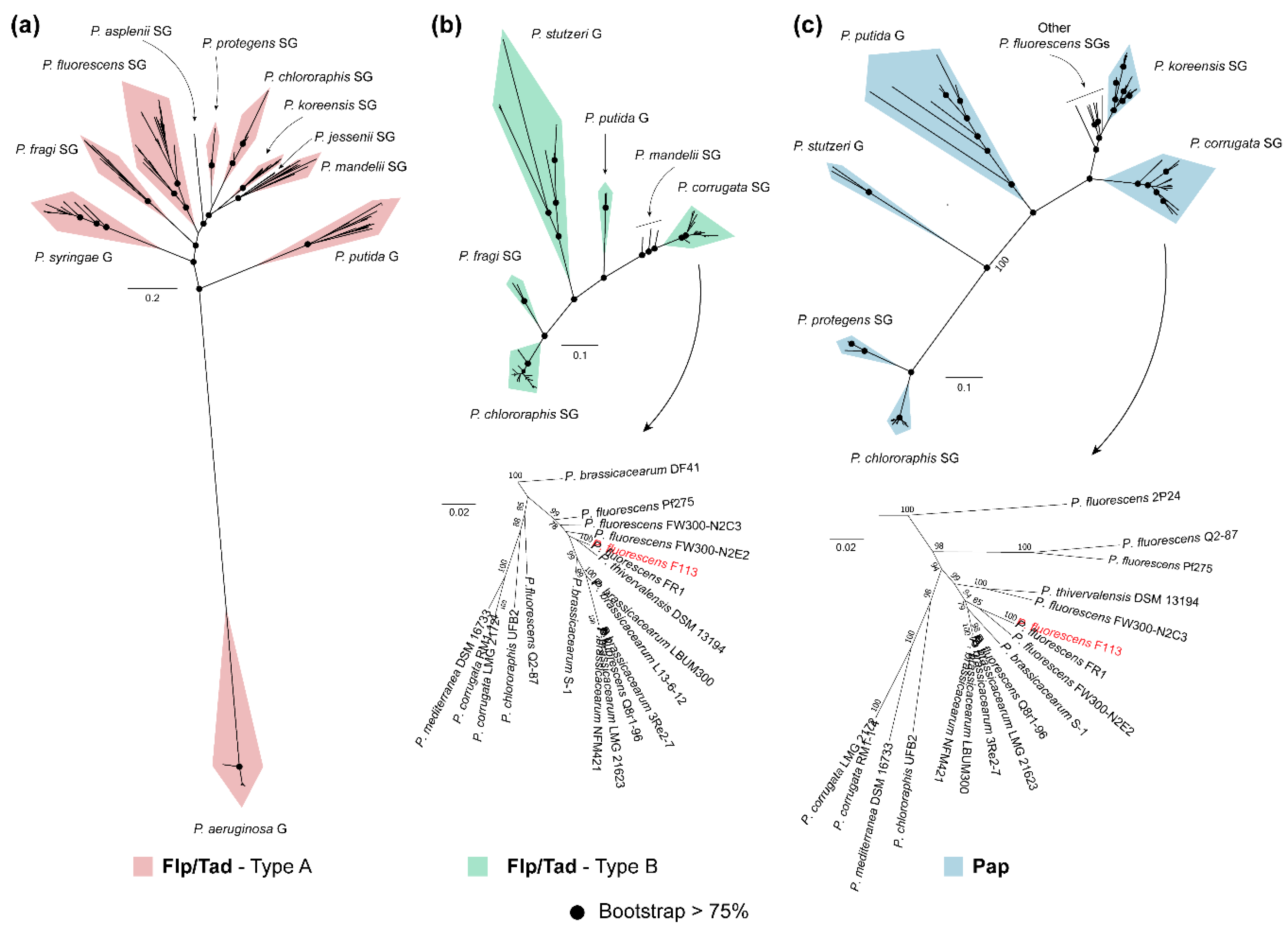 Microorganisms 08 01740 g005 Microorganisms 08 01740 g005