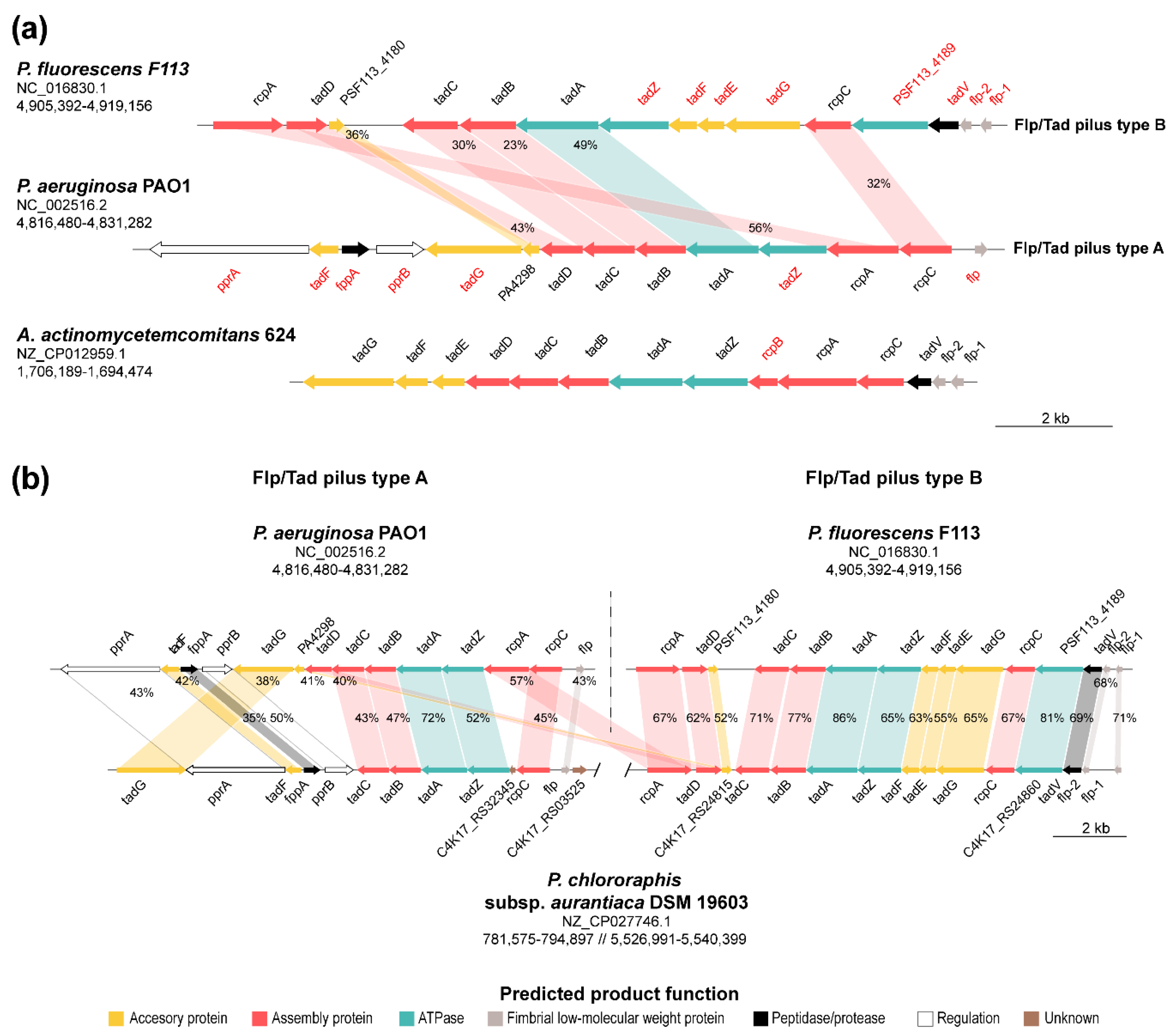 Microorganisms 08 01740 g006 Microorganisms 08 01740 g006