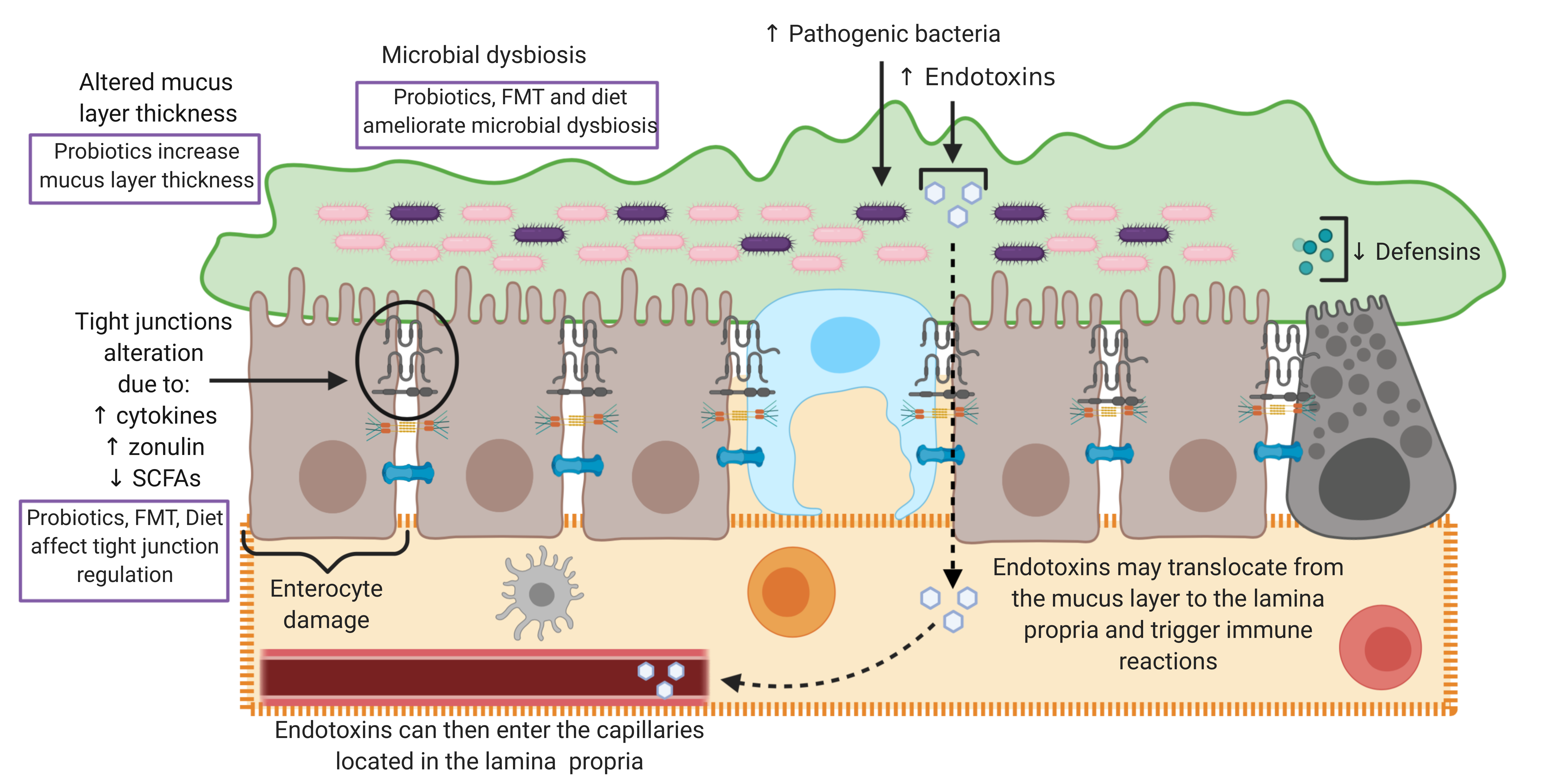 Microorganisms 08 01744 g002 Microorganisms 08 01744 g002