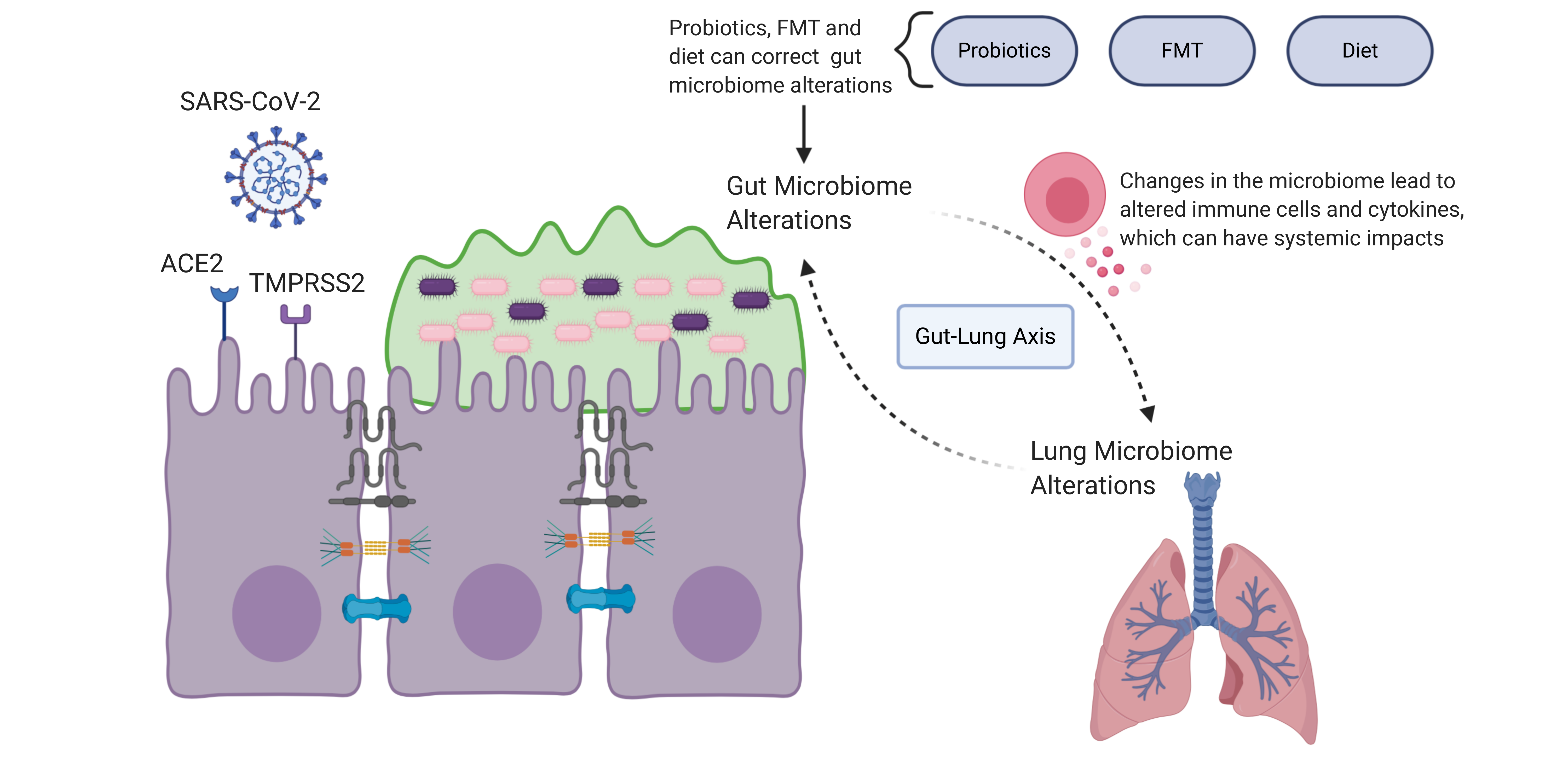 Microorganisms 08 01744 g003 Microorganisms 08 01744 g003