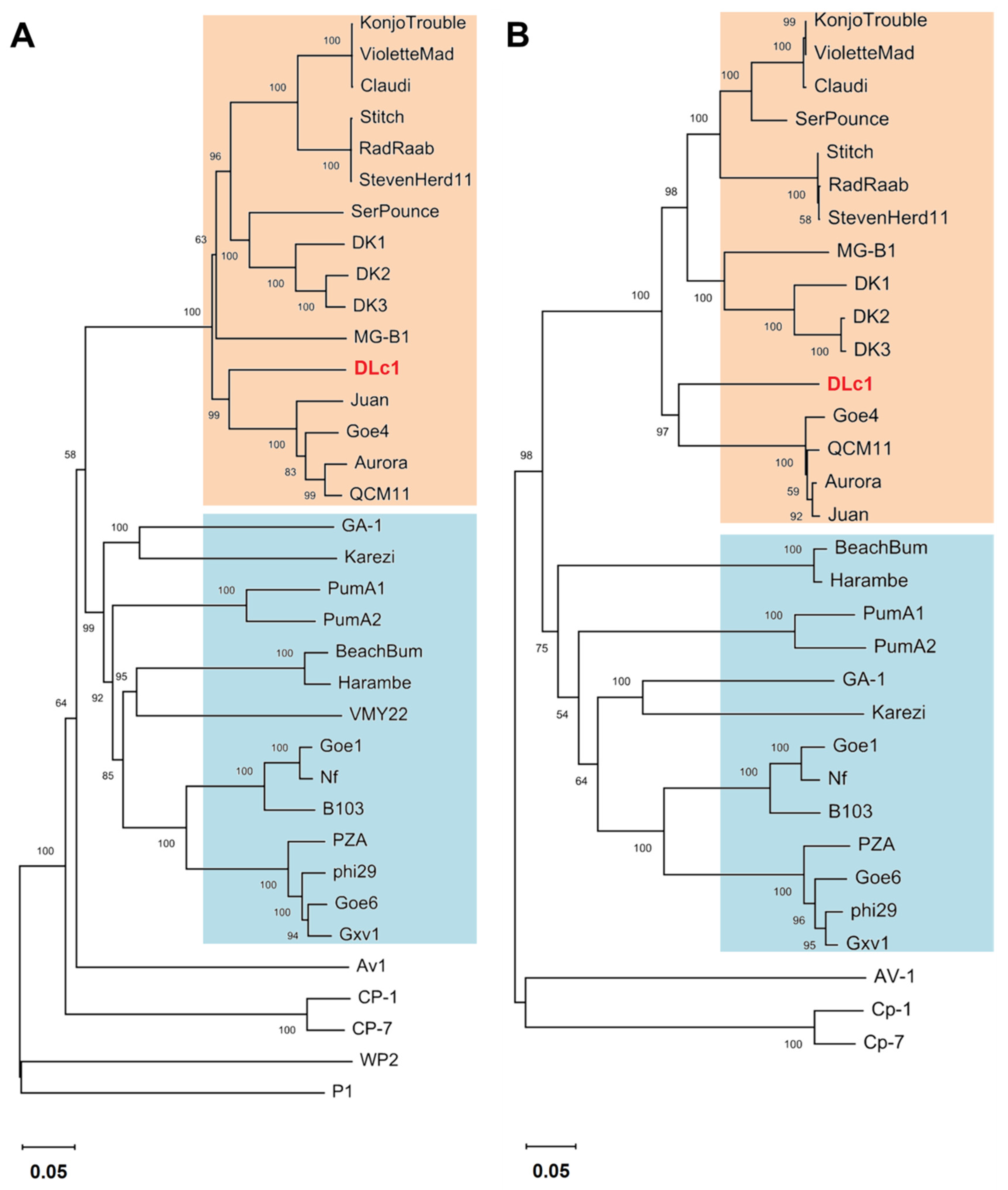 Microorganisms 08 01750 g005