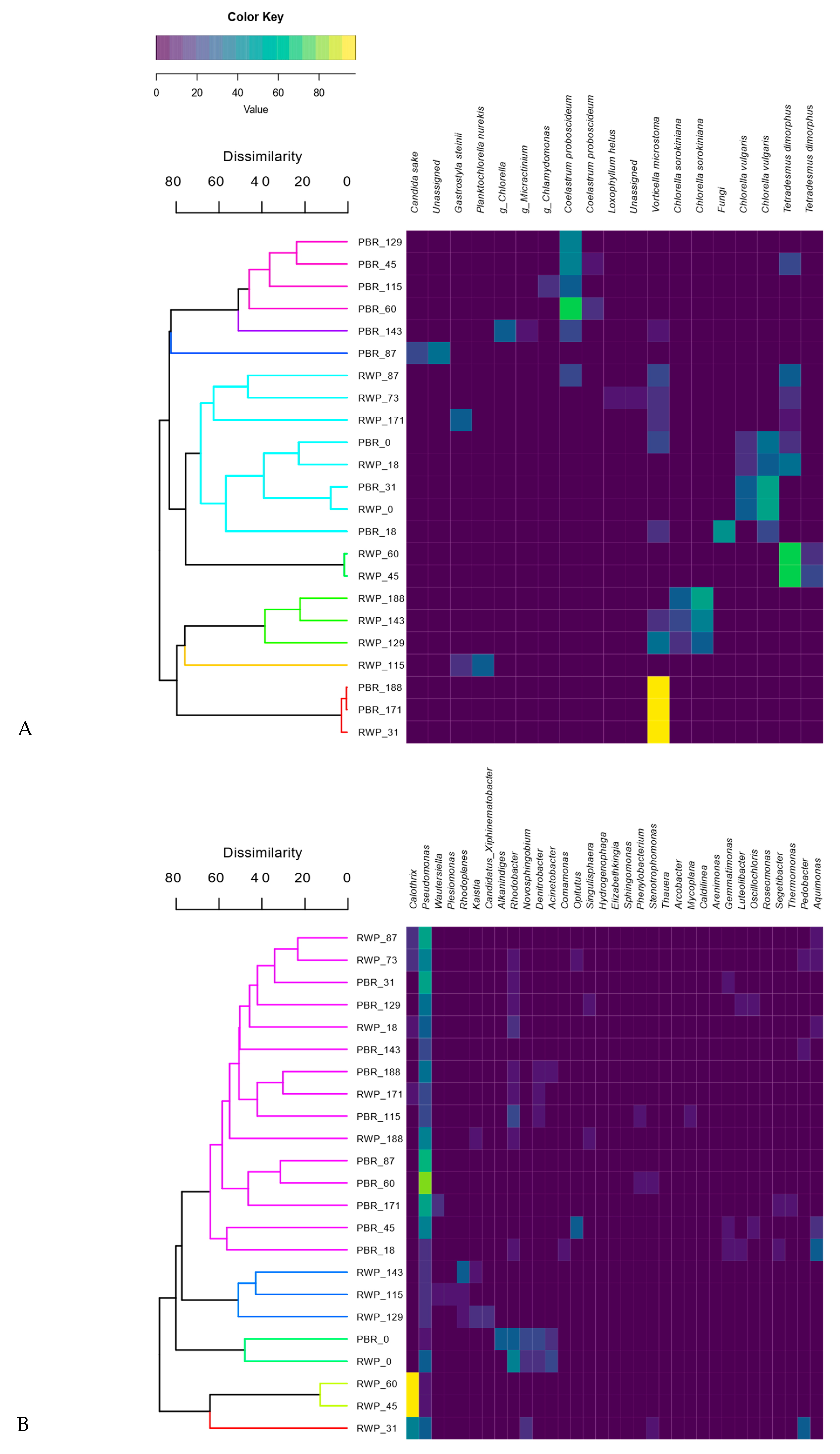 Microorganisms 08 01754 g007 Microorganisms 08 01754 g007