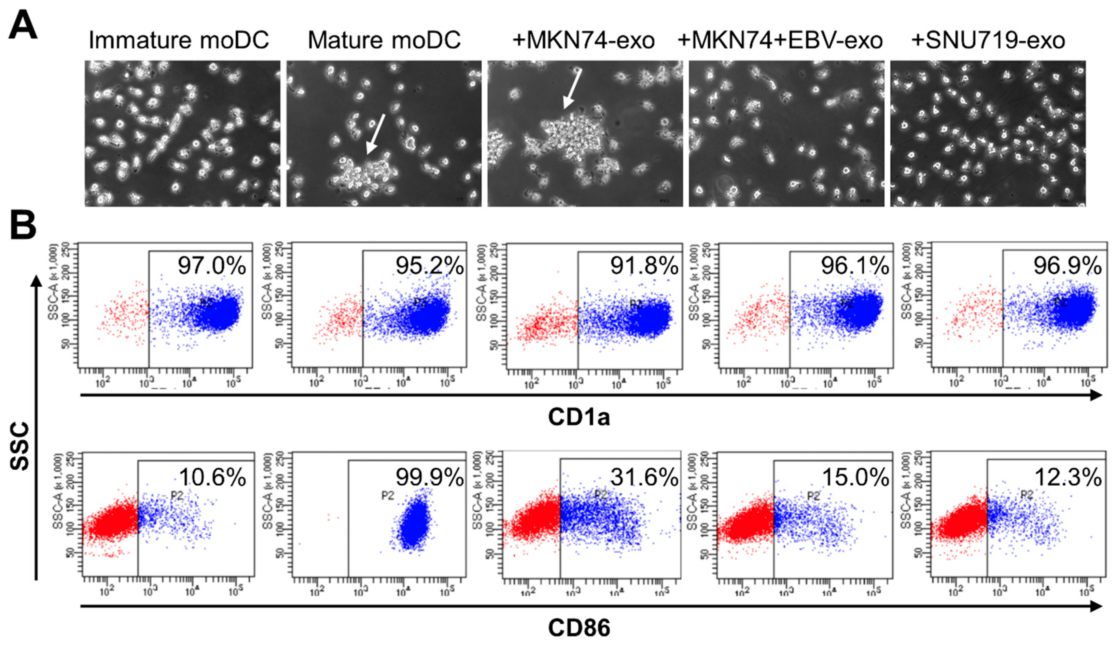 Microorganisms 08 01776 g003 Microorganisms 08 01776 g003