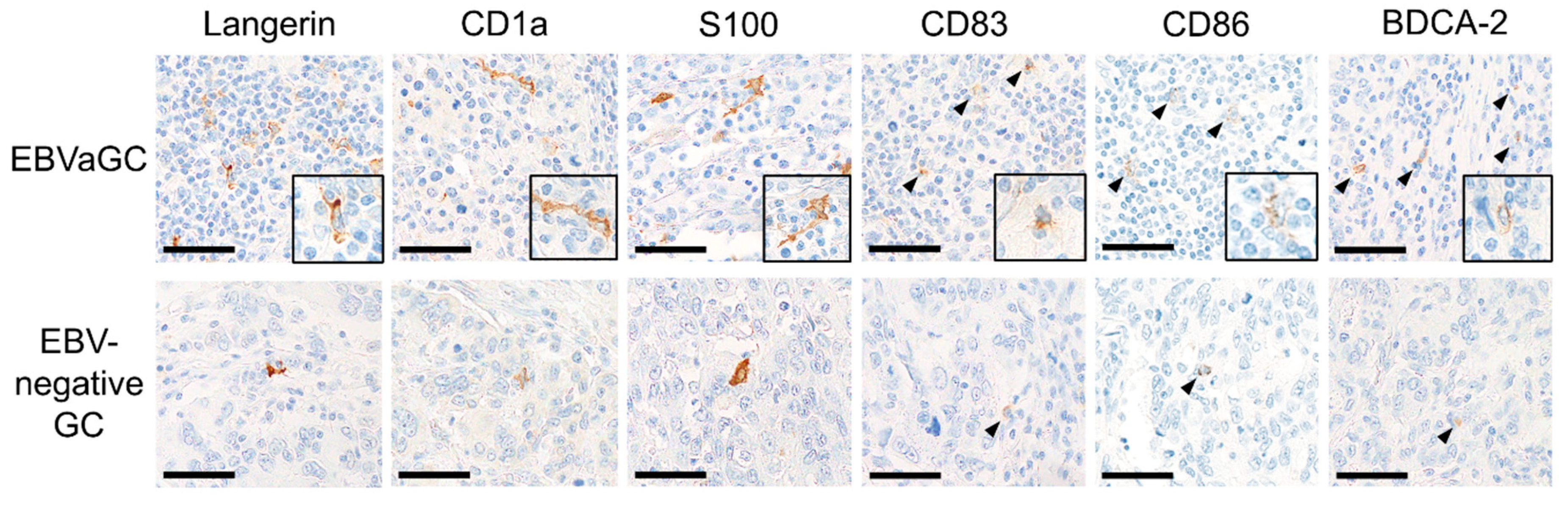 Microorganisms 08 01776 g004 Microorganisms 08 01776 g004