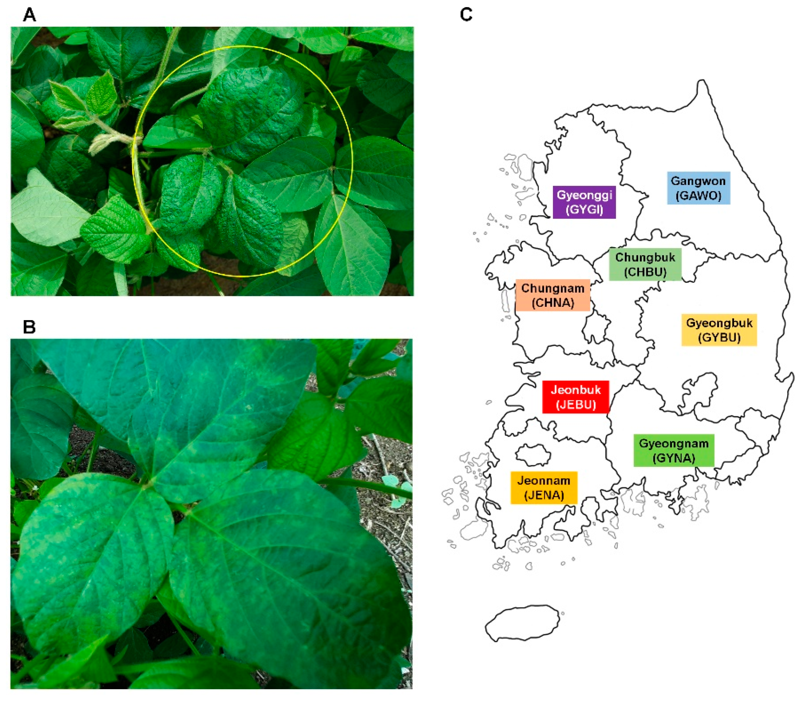 Microorganisms 08 01777 g001 Microorganisms 08 01777 g001