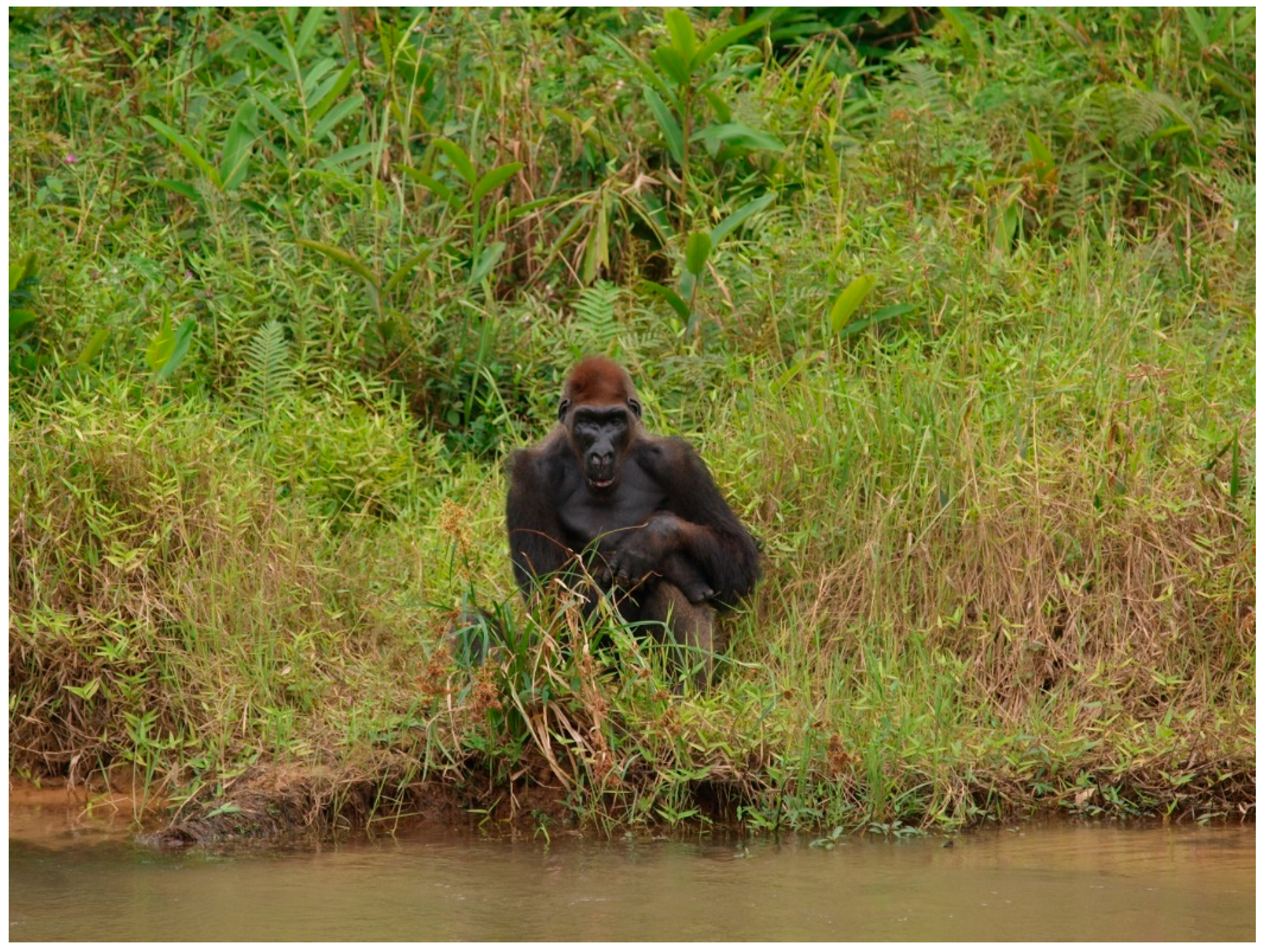 Microorganisms 08 01779 g002 Microorganisms 08 01779 g002