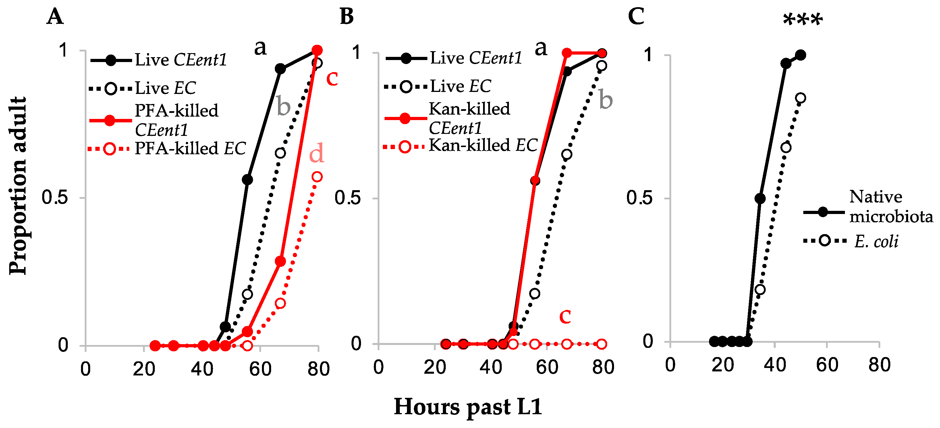 Microorganisms 08 01781 g001