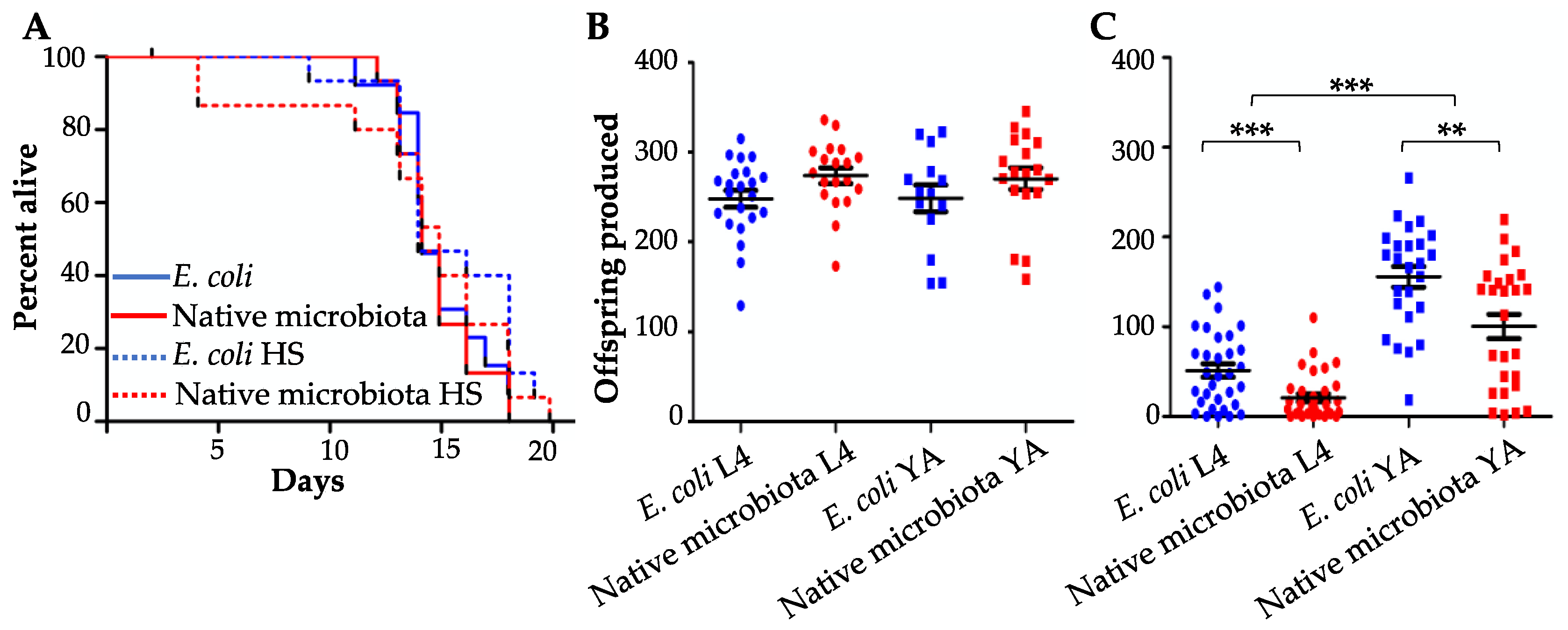 Microorganisms 08 01781 g002
