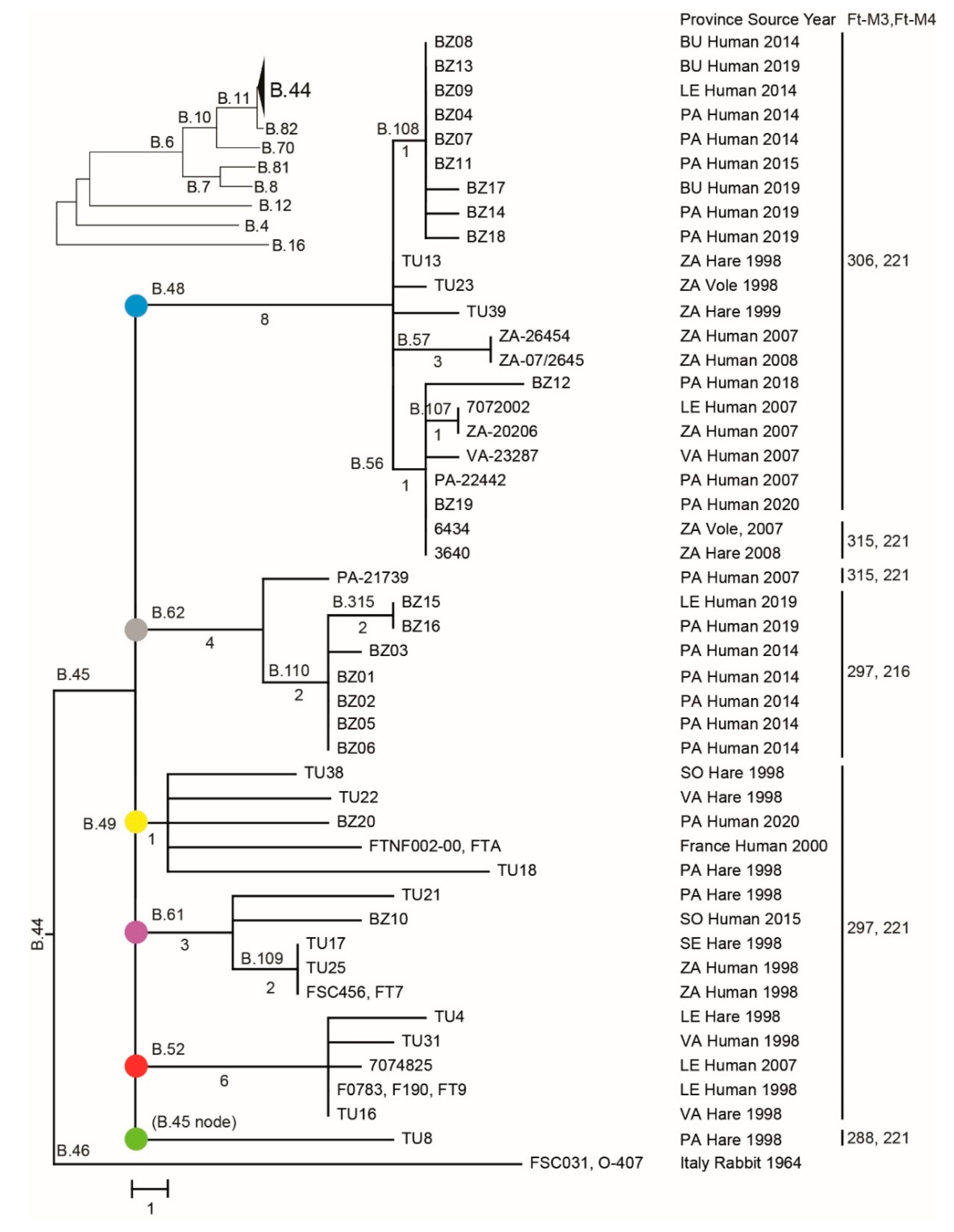 Microorganisms 08 01784 g001
