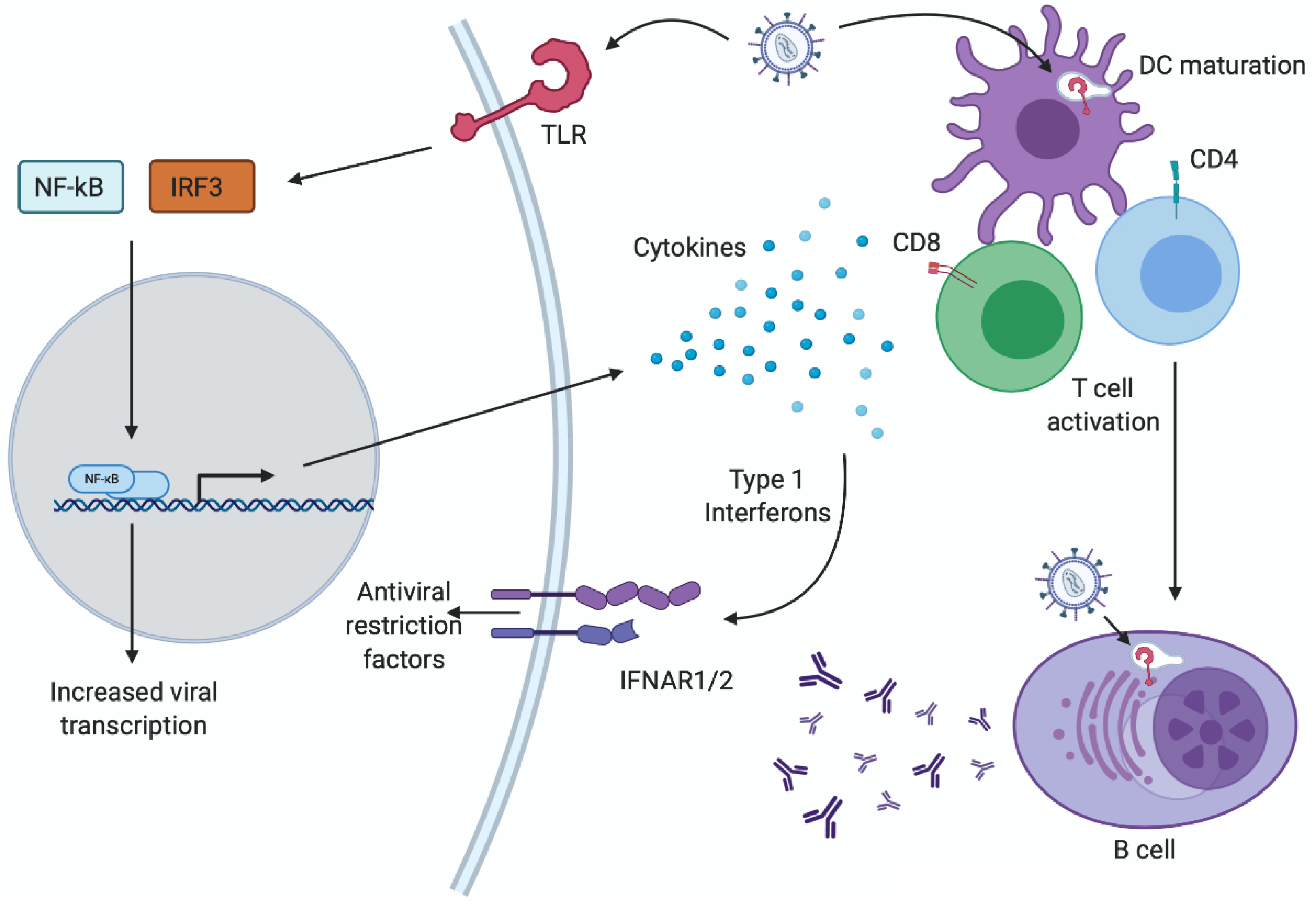 Microorganisms 08 01787 g002
