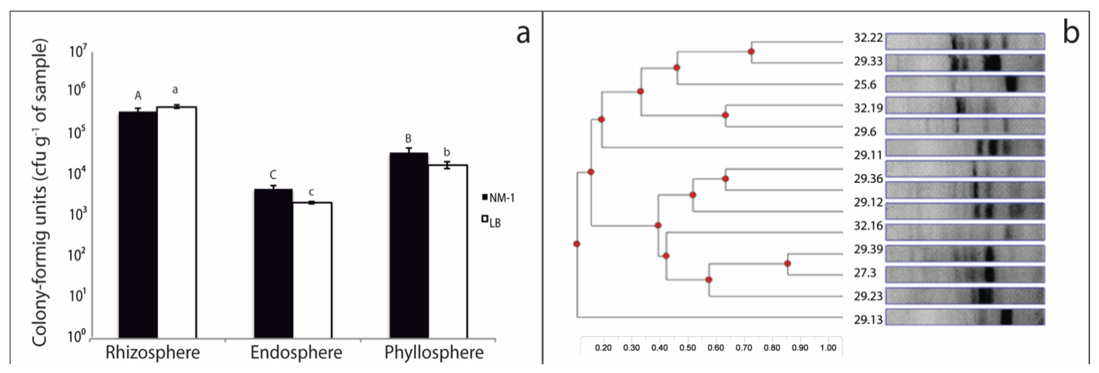 Microorganisms 08 01788 g002 Microorganisms 08 01788 g002