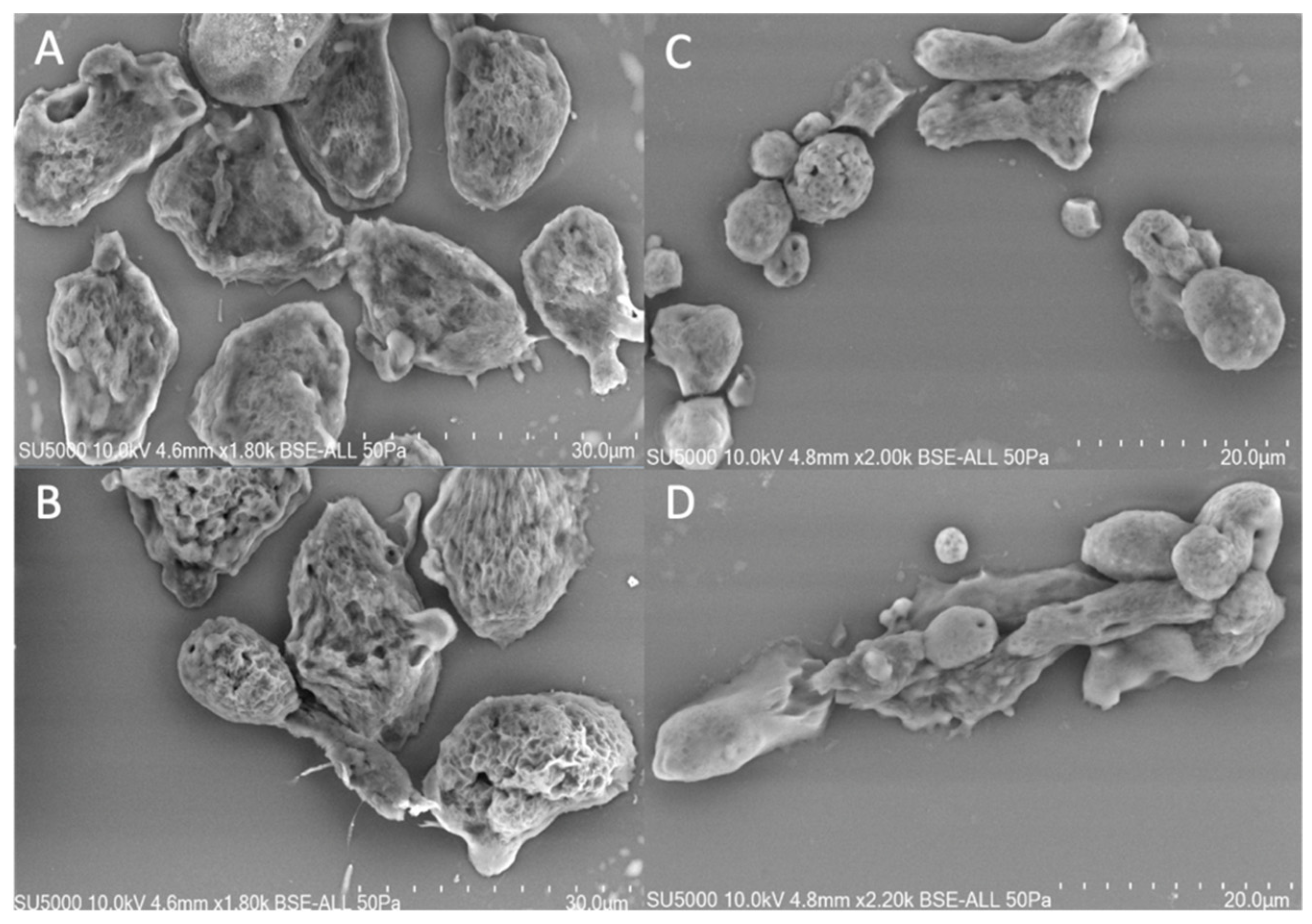 Microorganisms 08 01791 g001