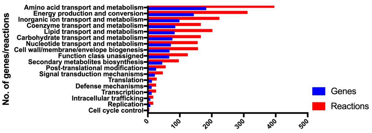 Microorganisms 08 01793 g001