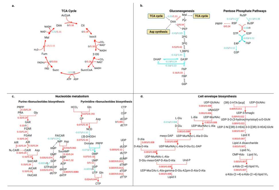 Microorganisms 08 01793 g004